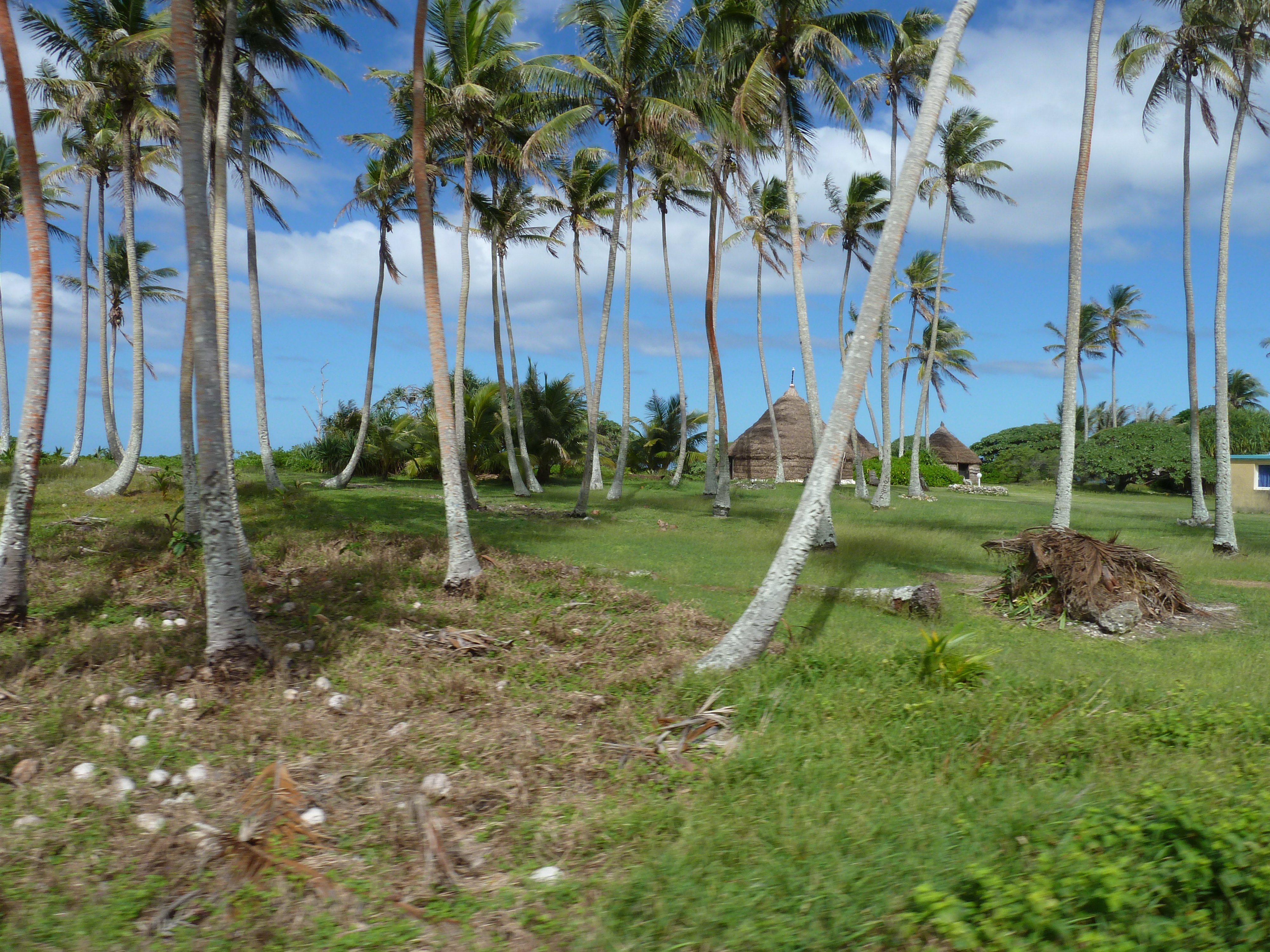 Picture New Caledonia Lifou 2010-05 26 - Center Lifou