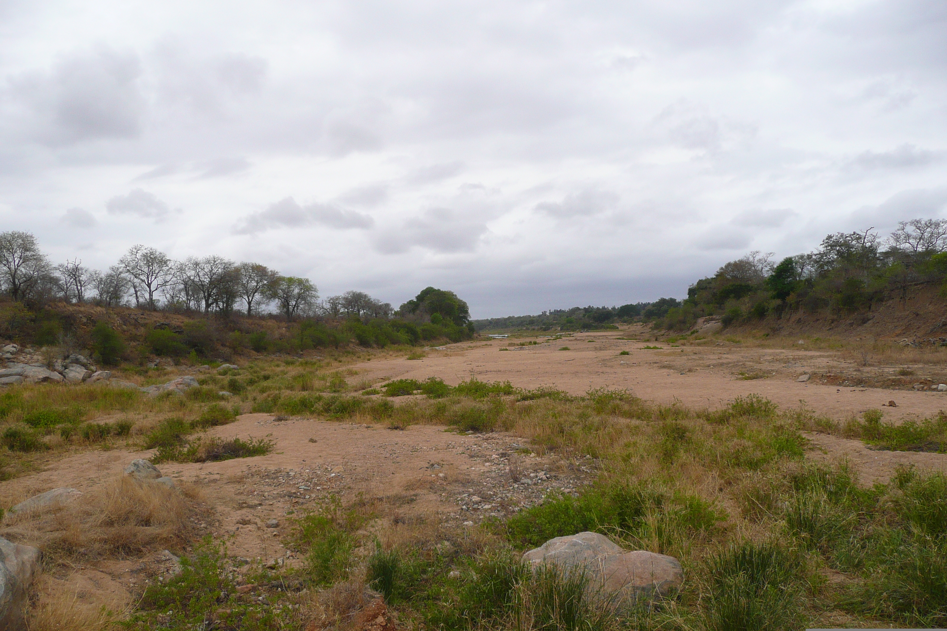 Picture South Africa Kruger National Park Crocodile River 2008-09 44 - Center Crocodile River