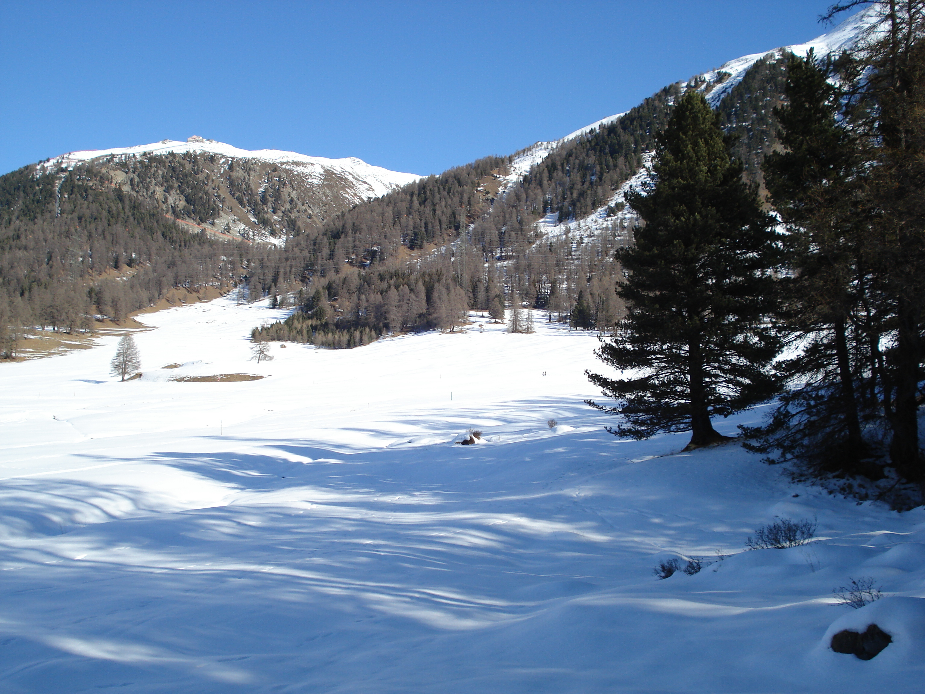 Picture Swiss Pontresina 2007-01 174 - Tours Pontresina