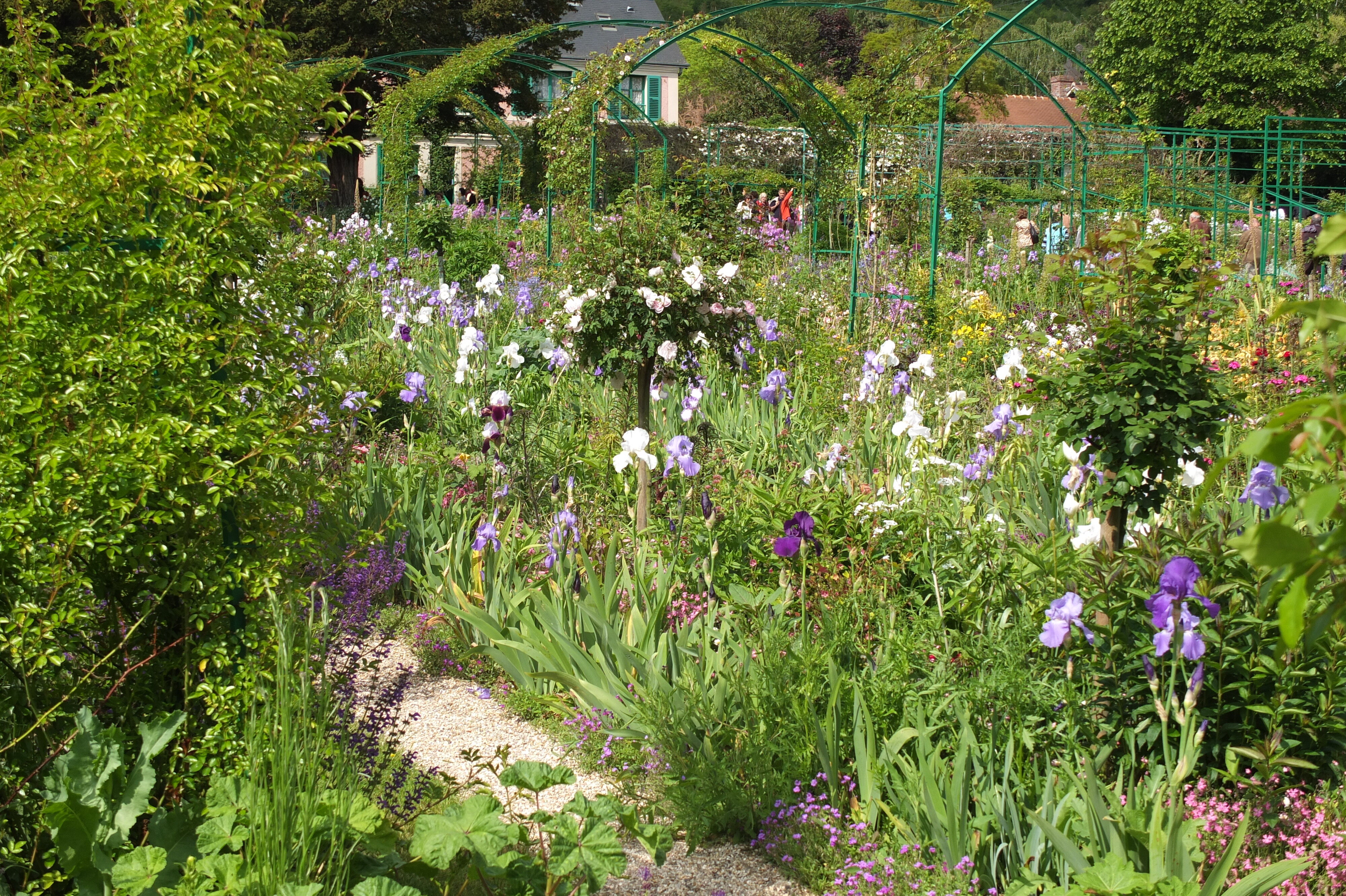 Picture France Giverny 2013-06 65 - Tours Giverny