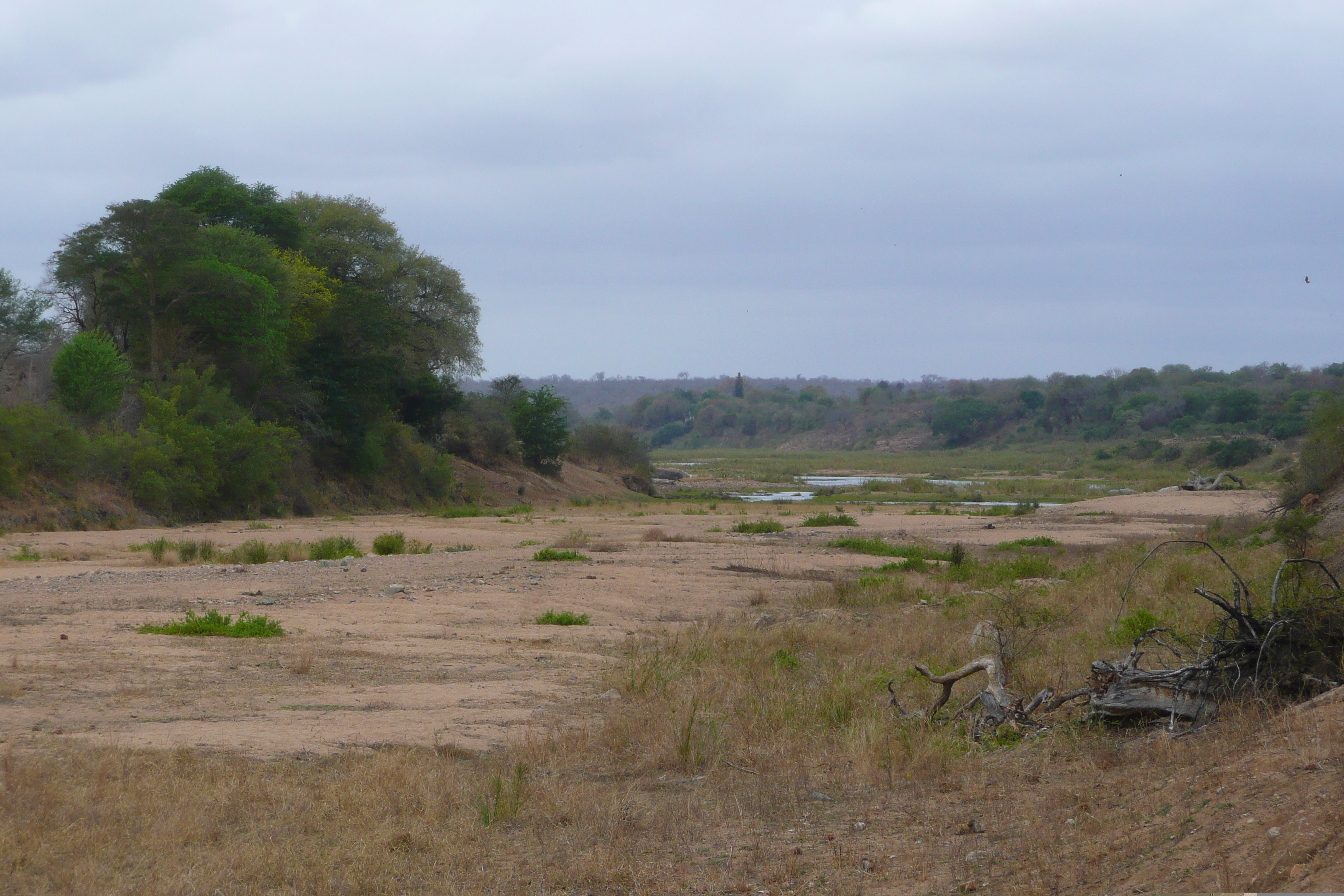 Picture South Africa Kruger National Park Crocodile River 2008-09 45 - Tours Crocodile River