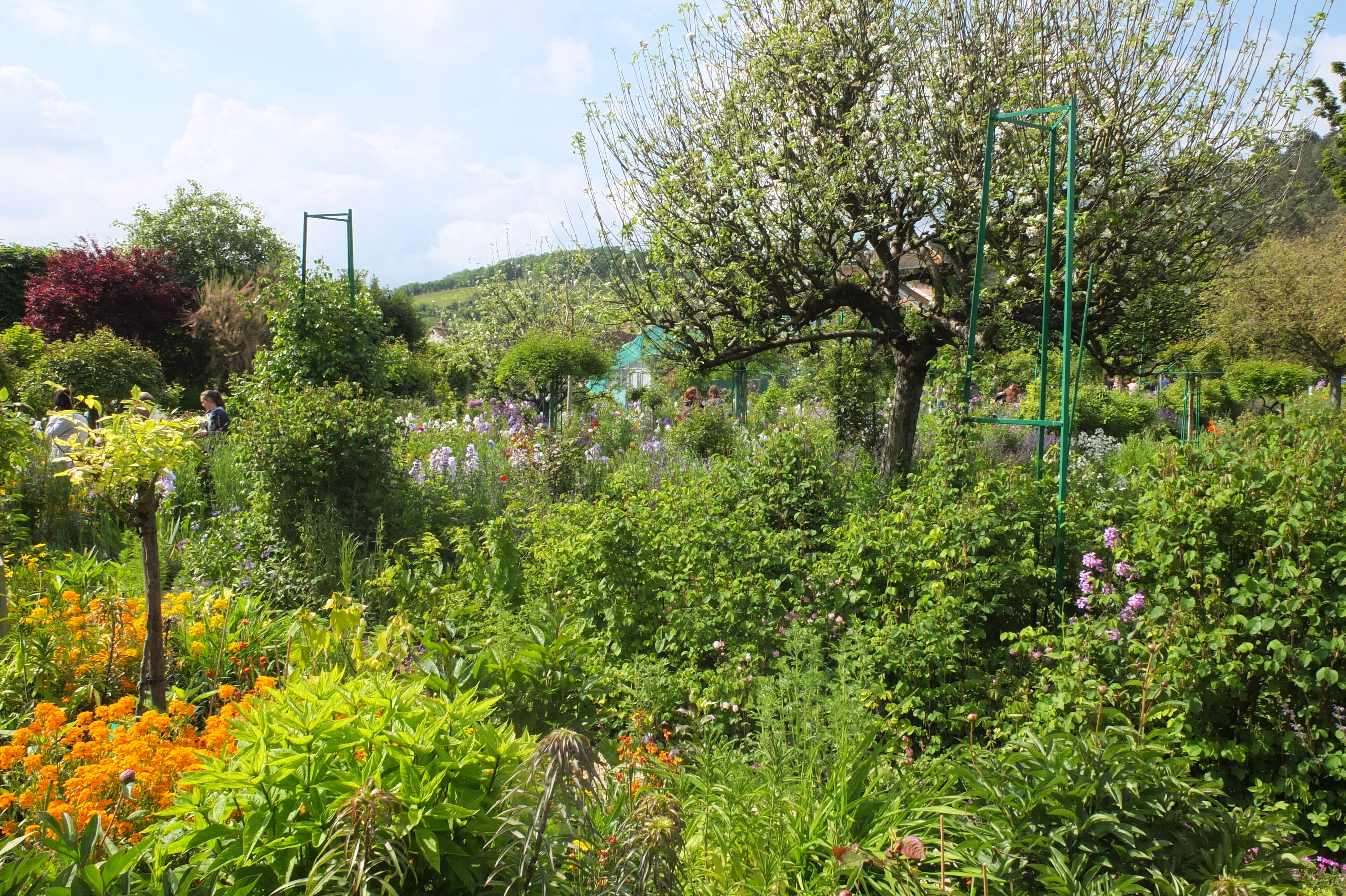 Picture France Giverny 2013-06 74 - Tours Giverny