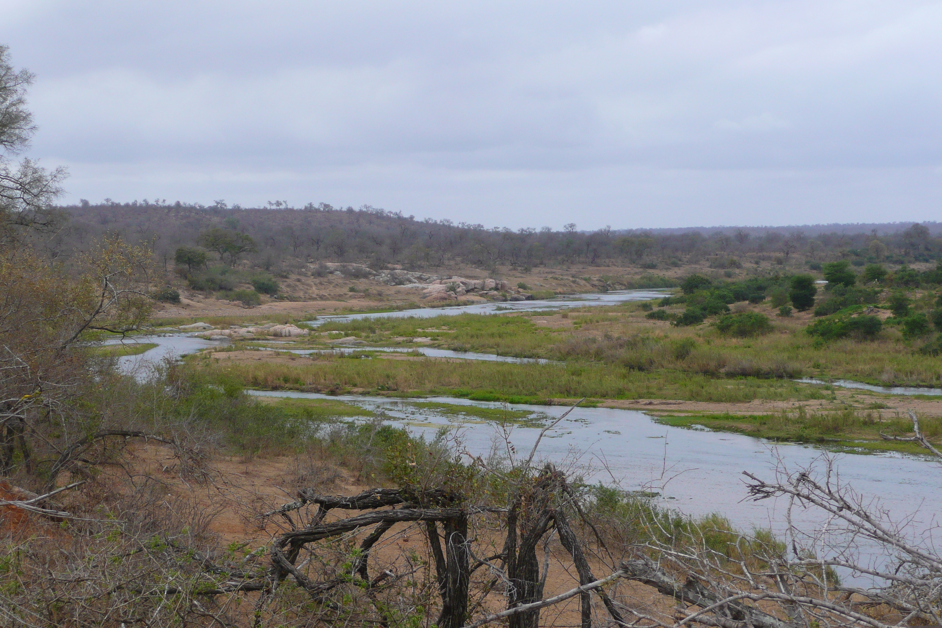 Picture South Africa Kruger National Park Crocodile River 2008-09 54 - Around Crocodile River