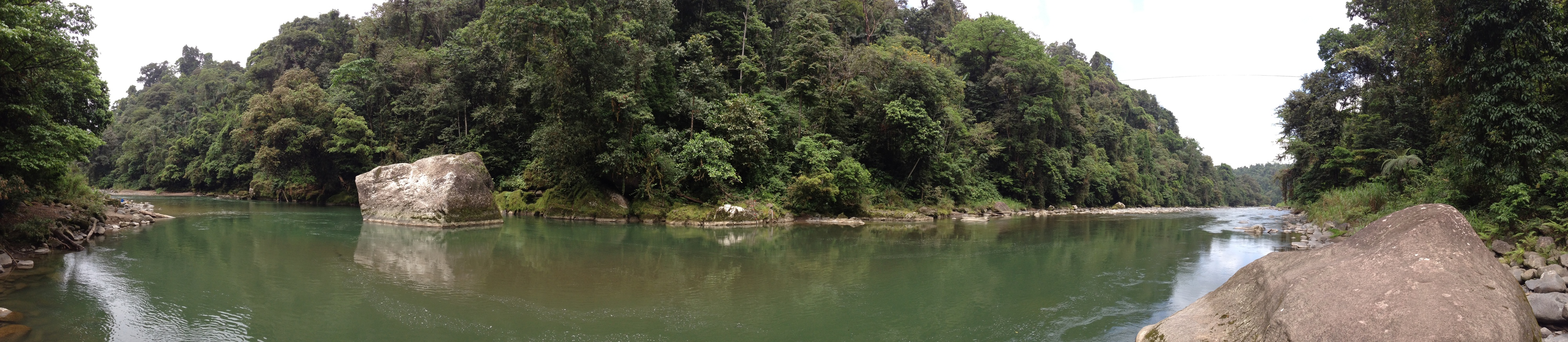 Picture Costa Rica Pacuare River 2015-03 229 - Tour Pacuare River