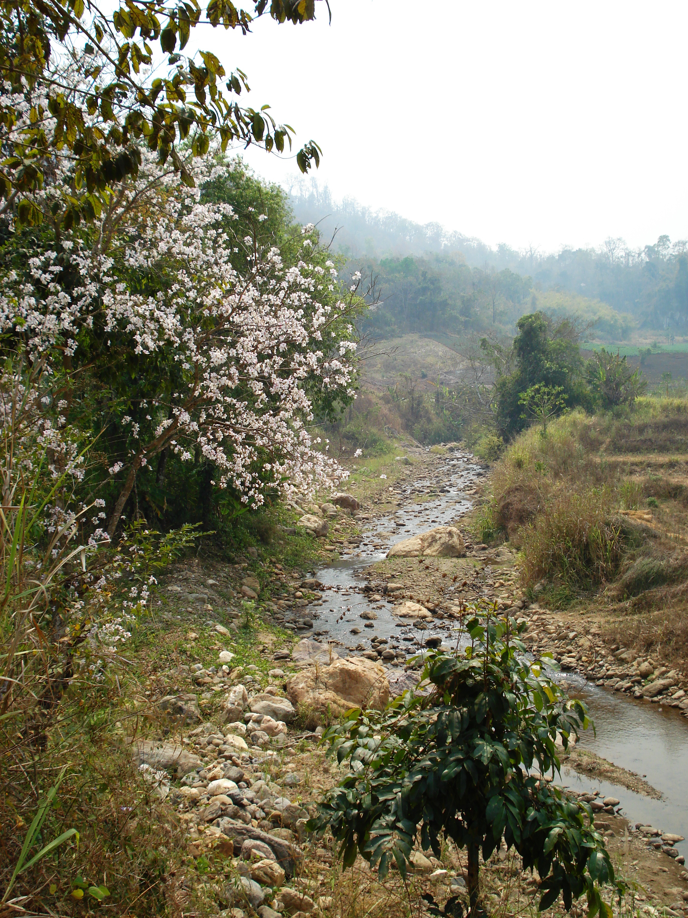 Picture Thailand Pang Mapha to Pai road 2007-02 10 - Tour Pang Mapha to Pai road