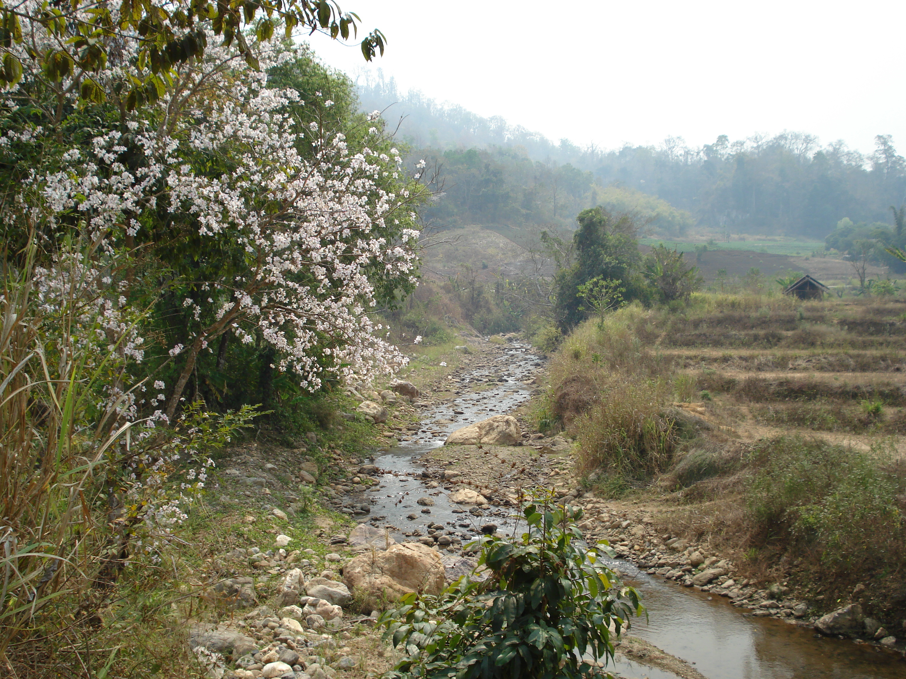 Picture Thailand Pang Mapha to Pai road 2007-02 11 - Discovery Pang Mapha to Pai road