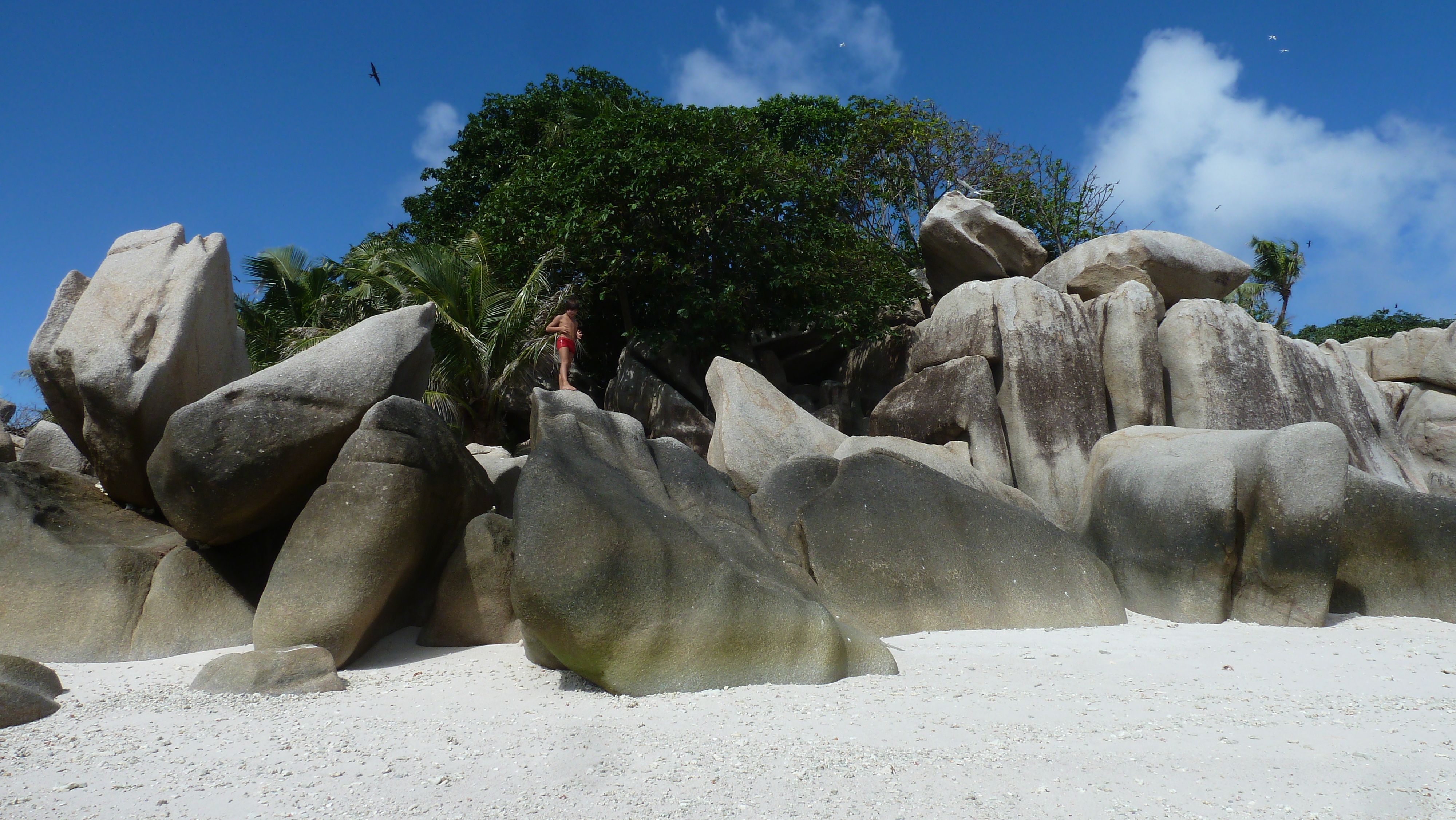 Picture Seychelles Coco Island 2011-10 22 - Tour Coco Island