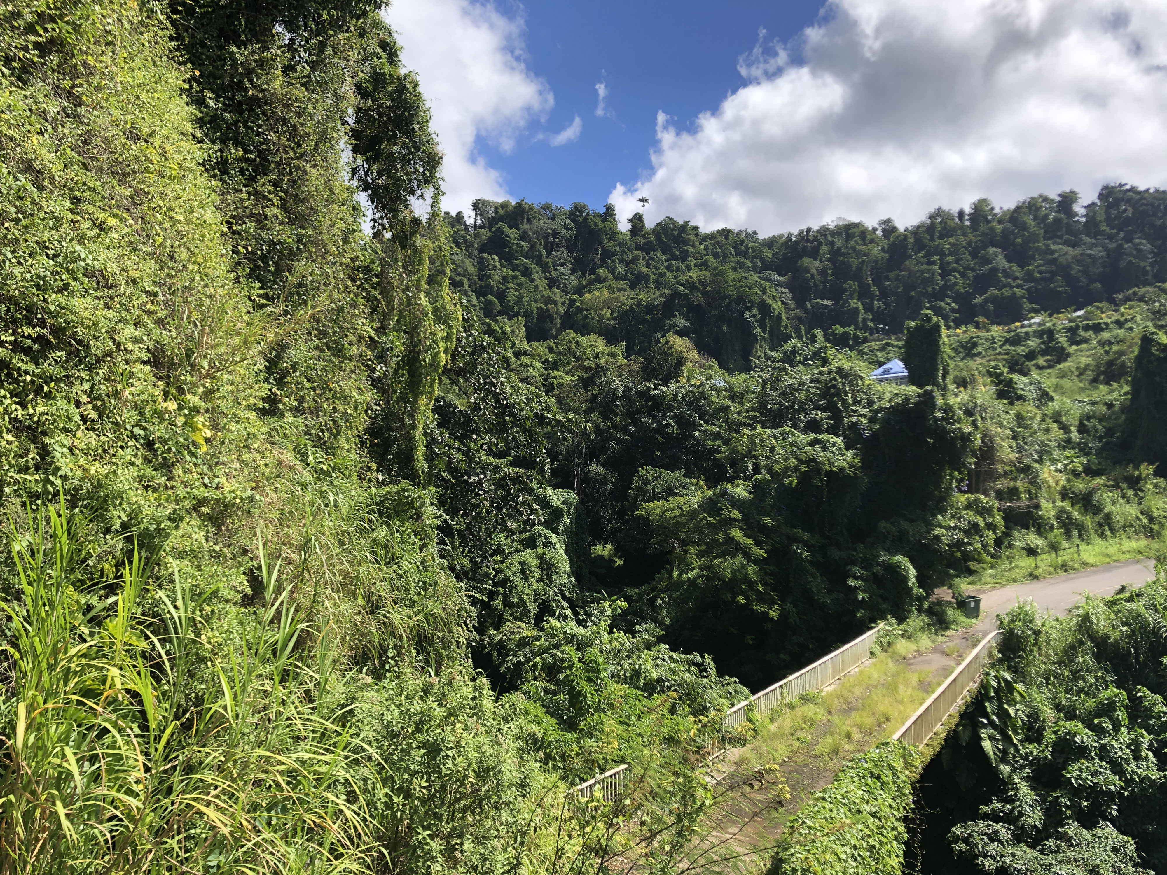 Picture Guadeloupe La Grande Soufriere 2021-02 16 - Recreation La Grande Soufriere