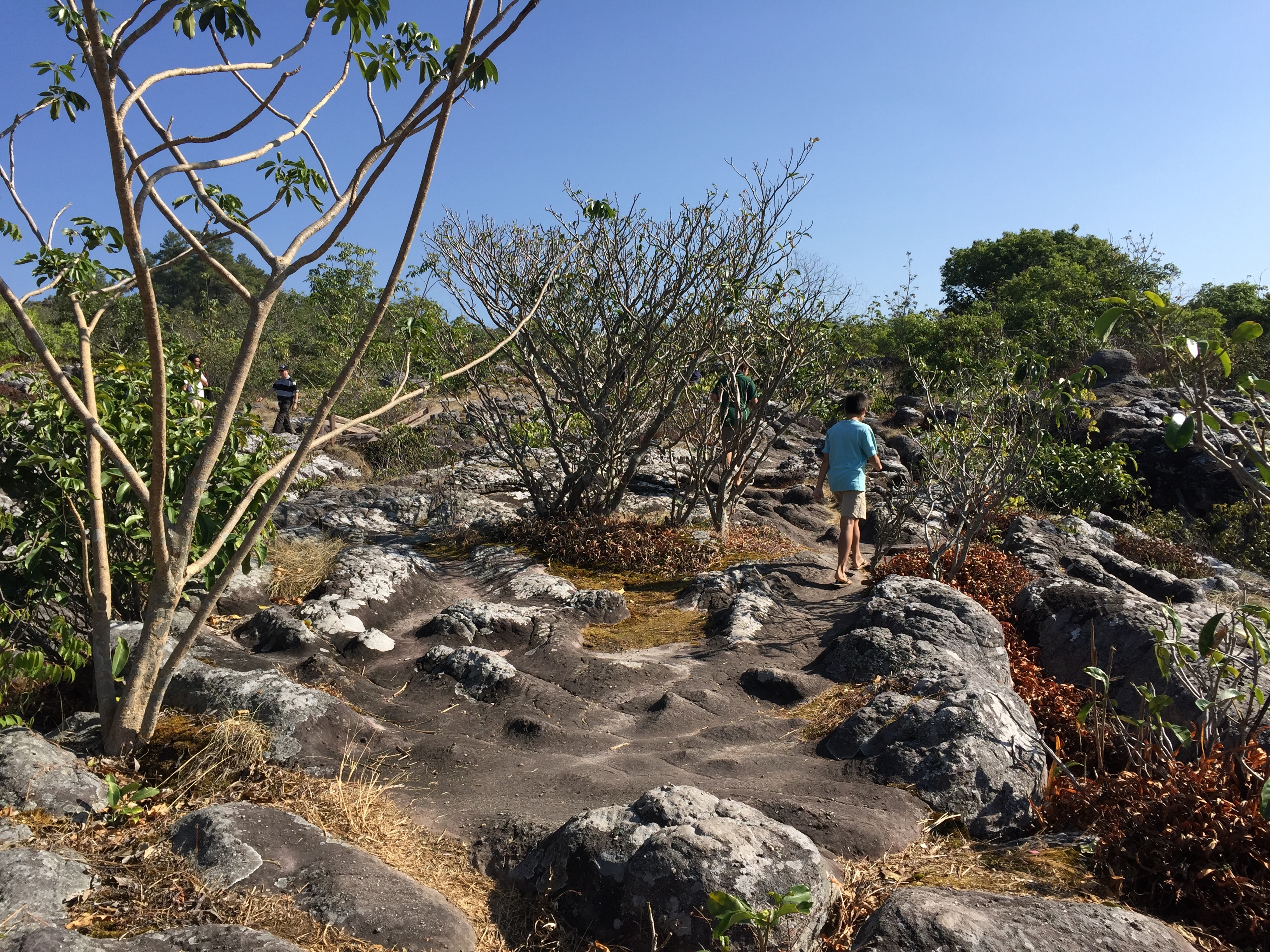 Picture Thailand Phu Hin Rong Kla National Park 2014-12 254 - Around Phu Hin Rong Kla National Park