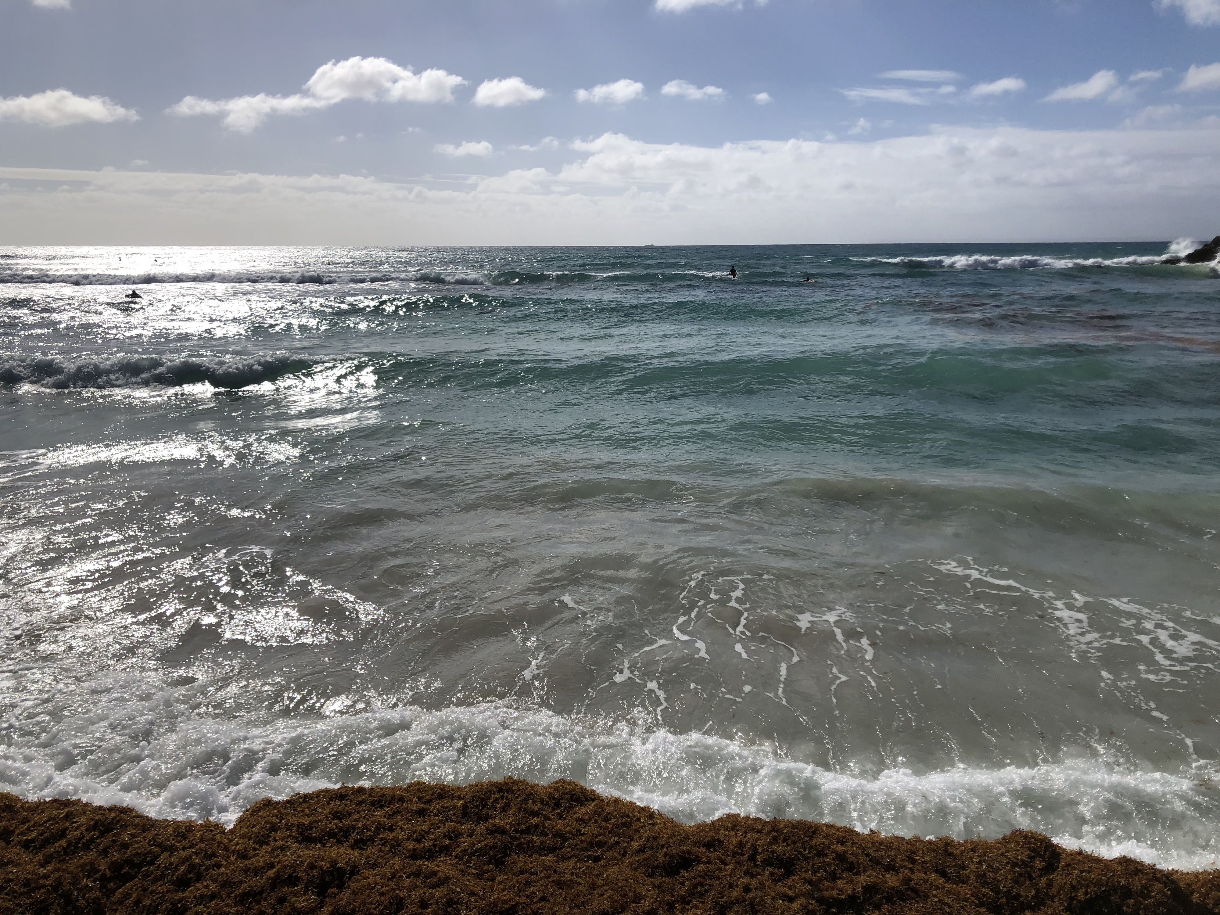 Picture Guadeloupe Sainte Anne 2021-02 116 - Tours Sainte Anne