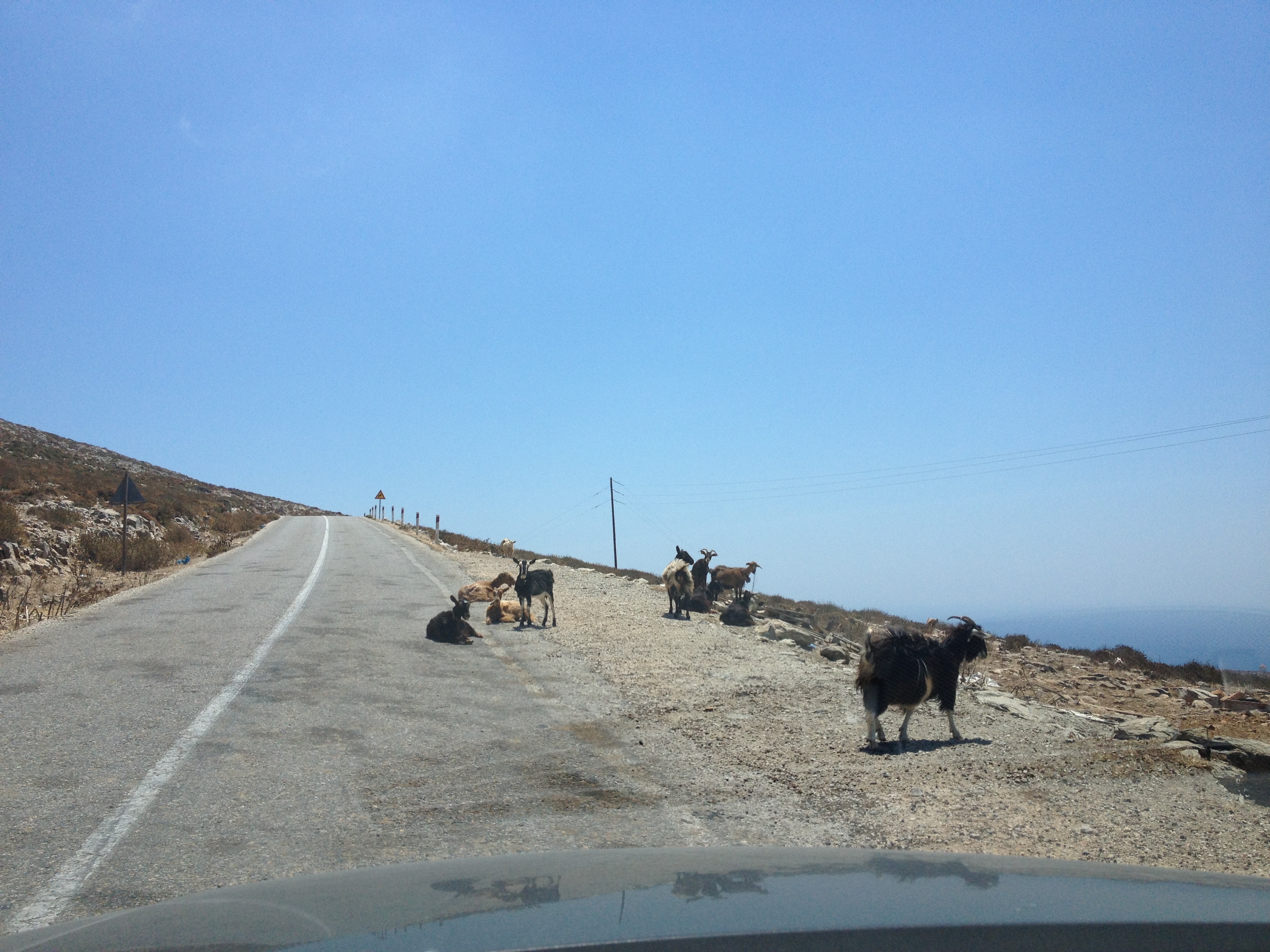 Picture Greece Amorgos 2014-07 227 - Tours Amorgos