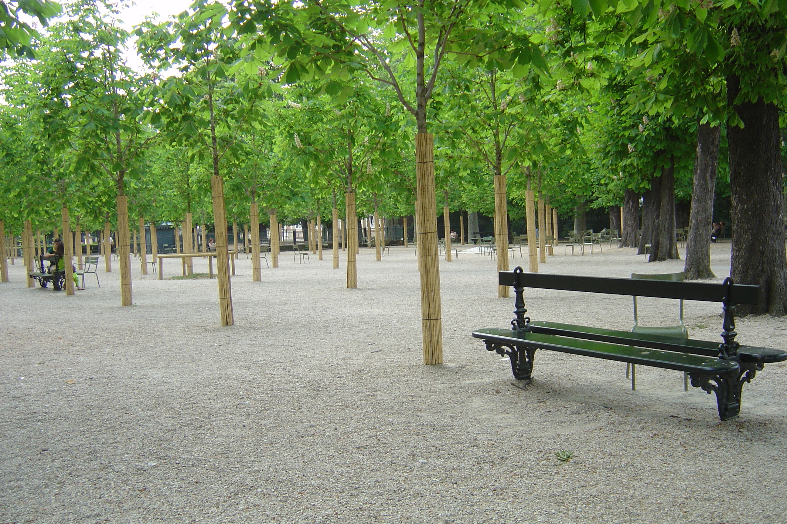 Picture France Paris Luxembourg Garden 2007-04 108 - Center Luxembourg Garden