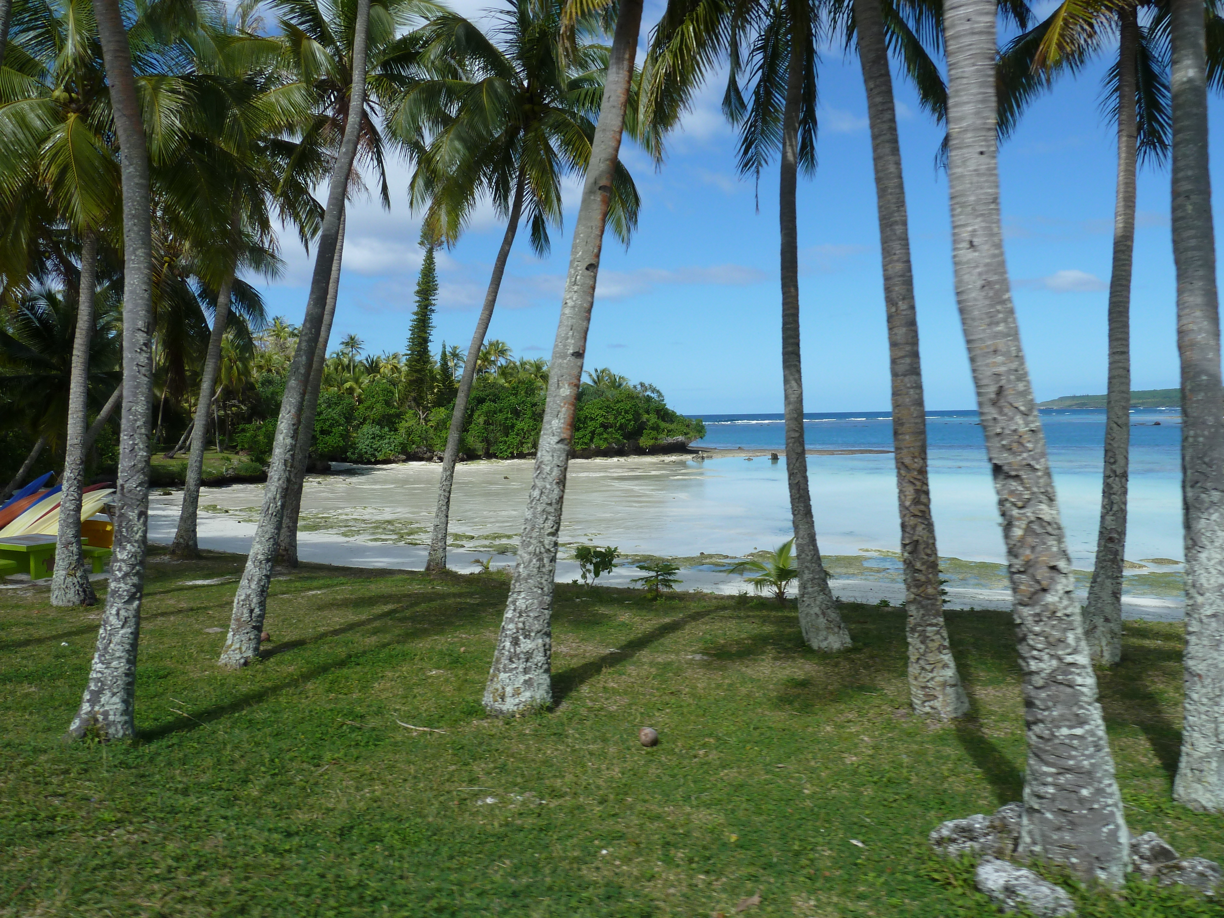 Picture New Caledonia Lifou 2010-05 28 - Tour Lifou