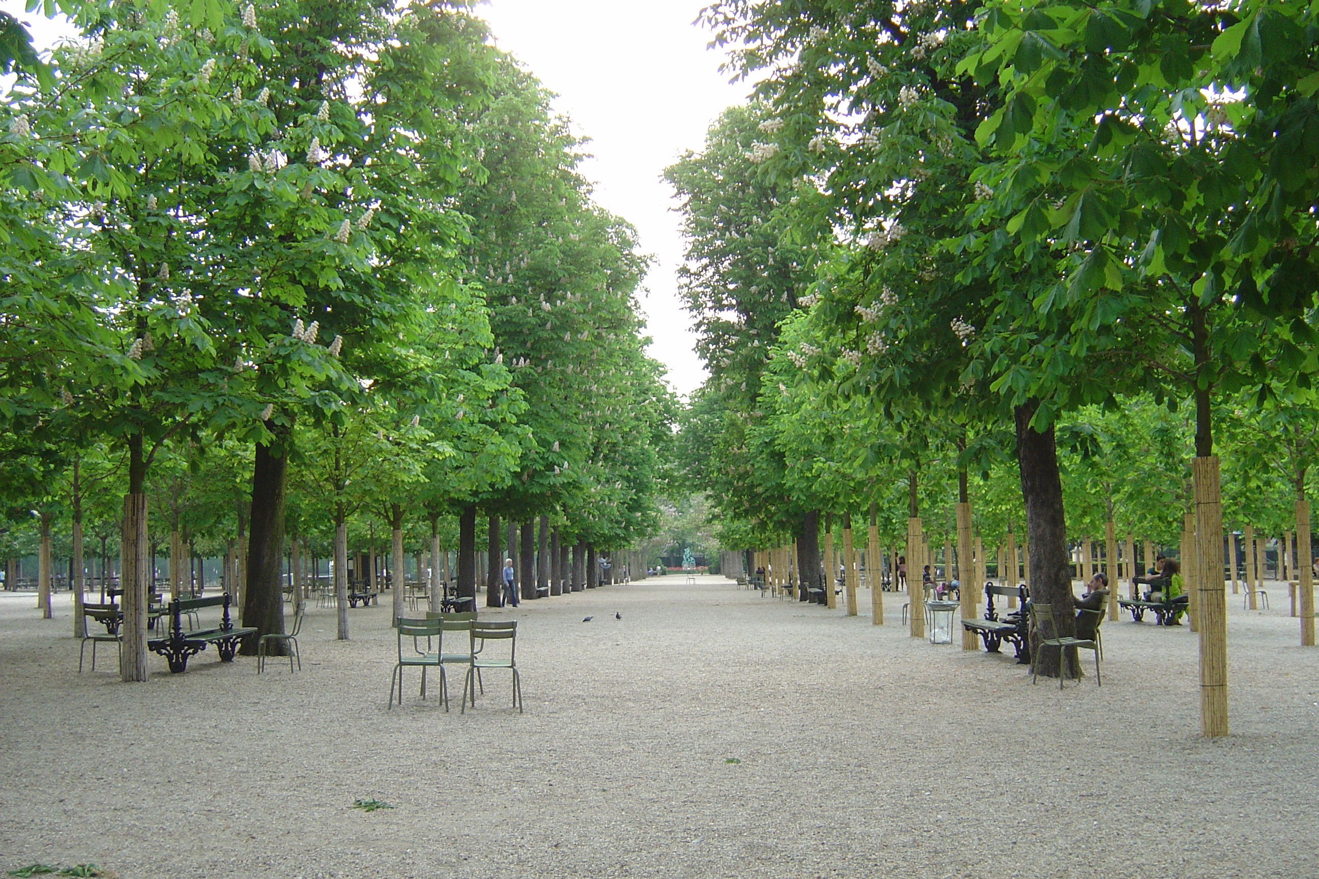 Picture France Paris Luxembourg Garden 2007-04 94 - Tours Luxembourg Garden