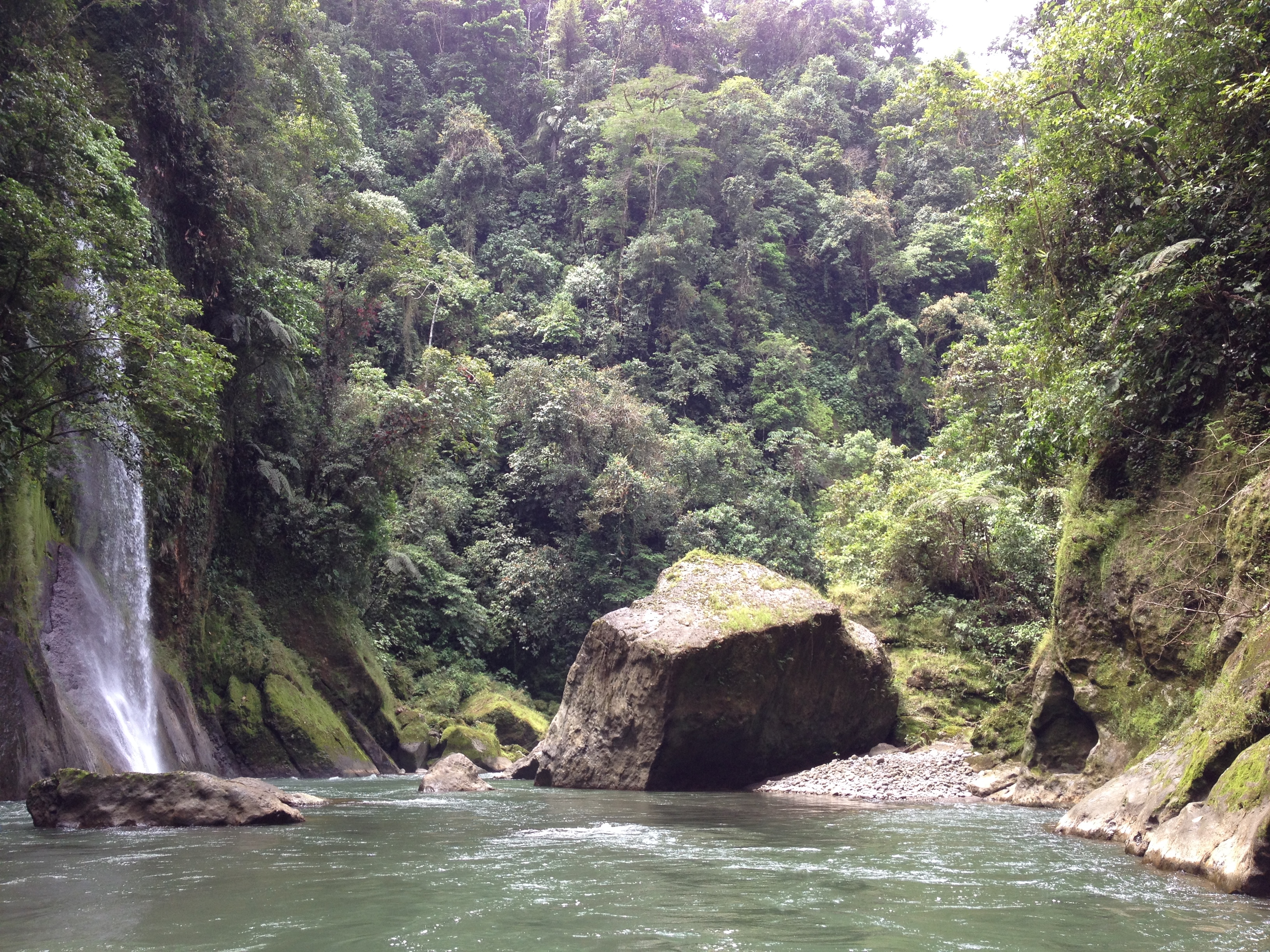 Picture Costa Rica Pacuare River 2015-03 192 - Around Pacuare River