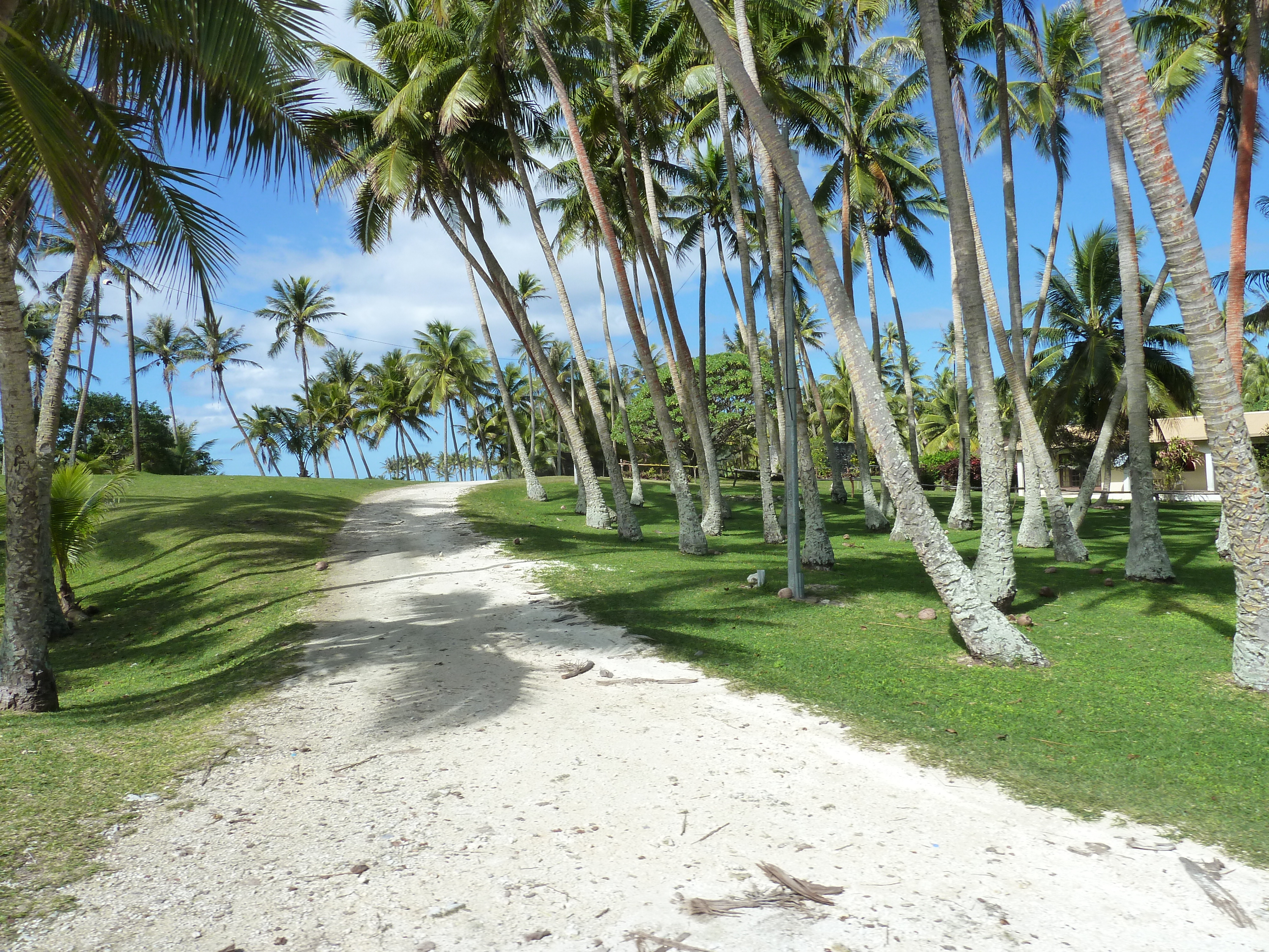 Picture New Caledonia Lifou 2010-05 19 - Tour Lifou