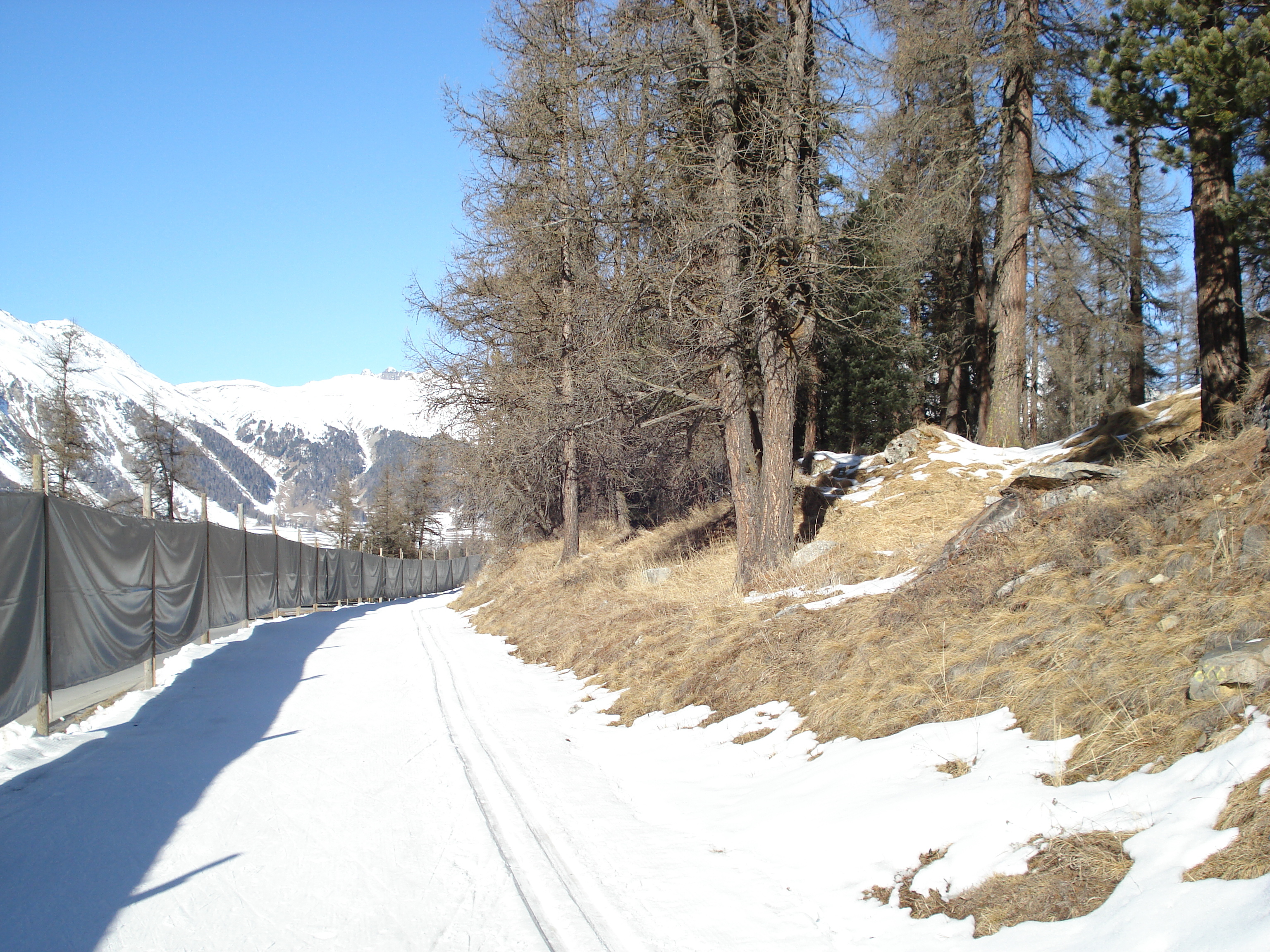 Picture Swiss Pontresina 2007-01 138 - History Pontresina