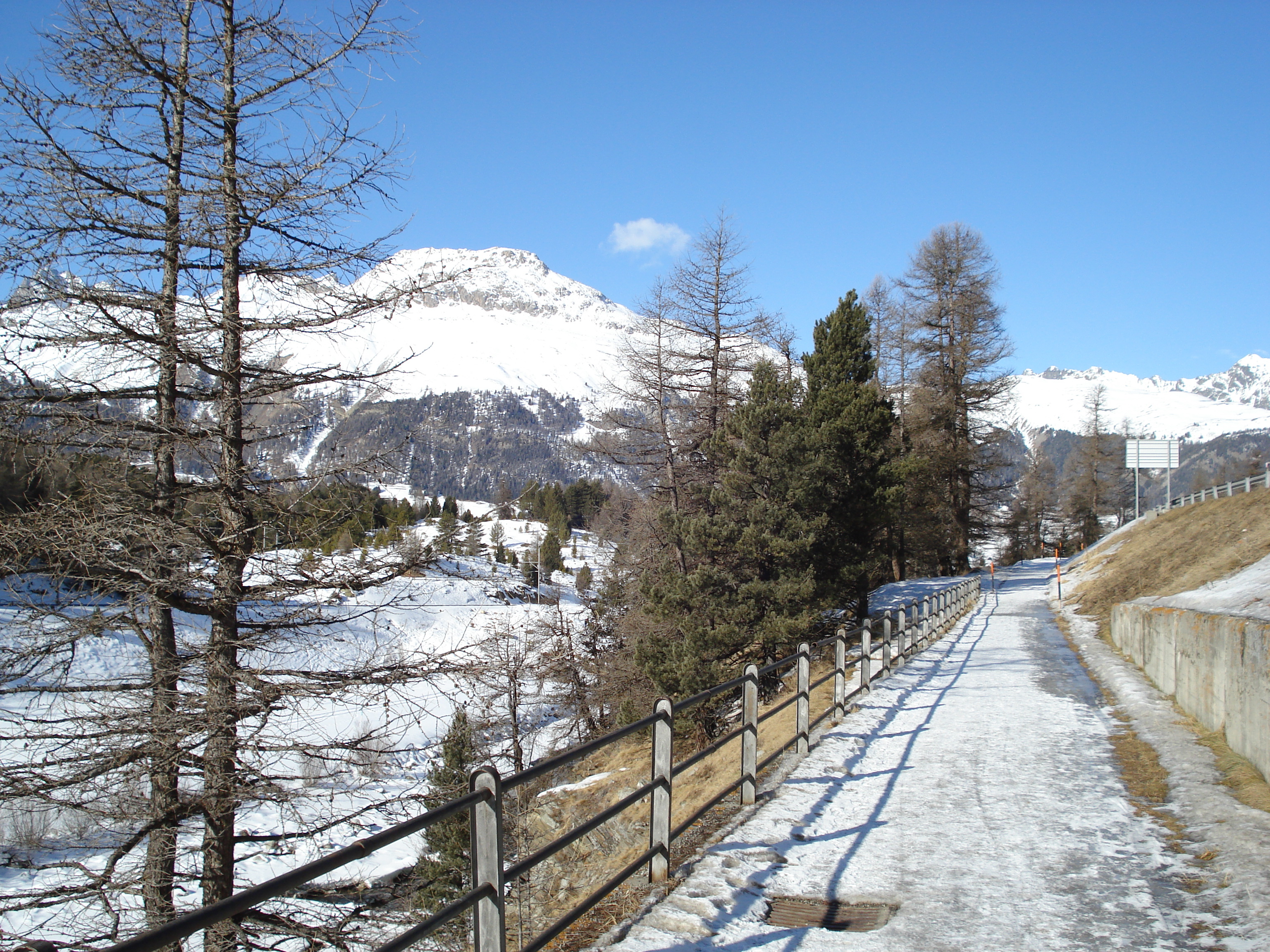 Picture Swiss Pontresina 2007-01 126 - Journey Pontresina