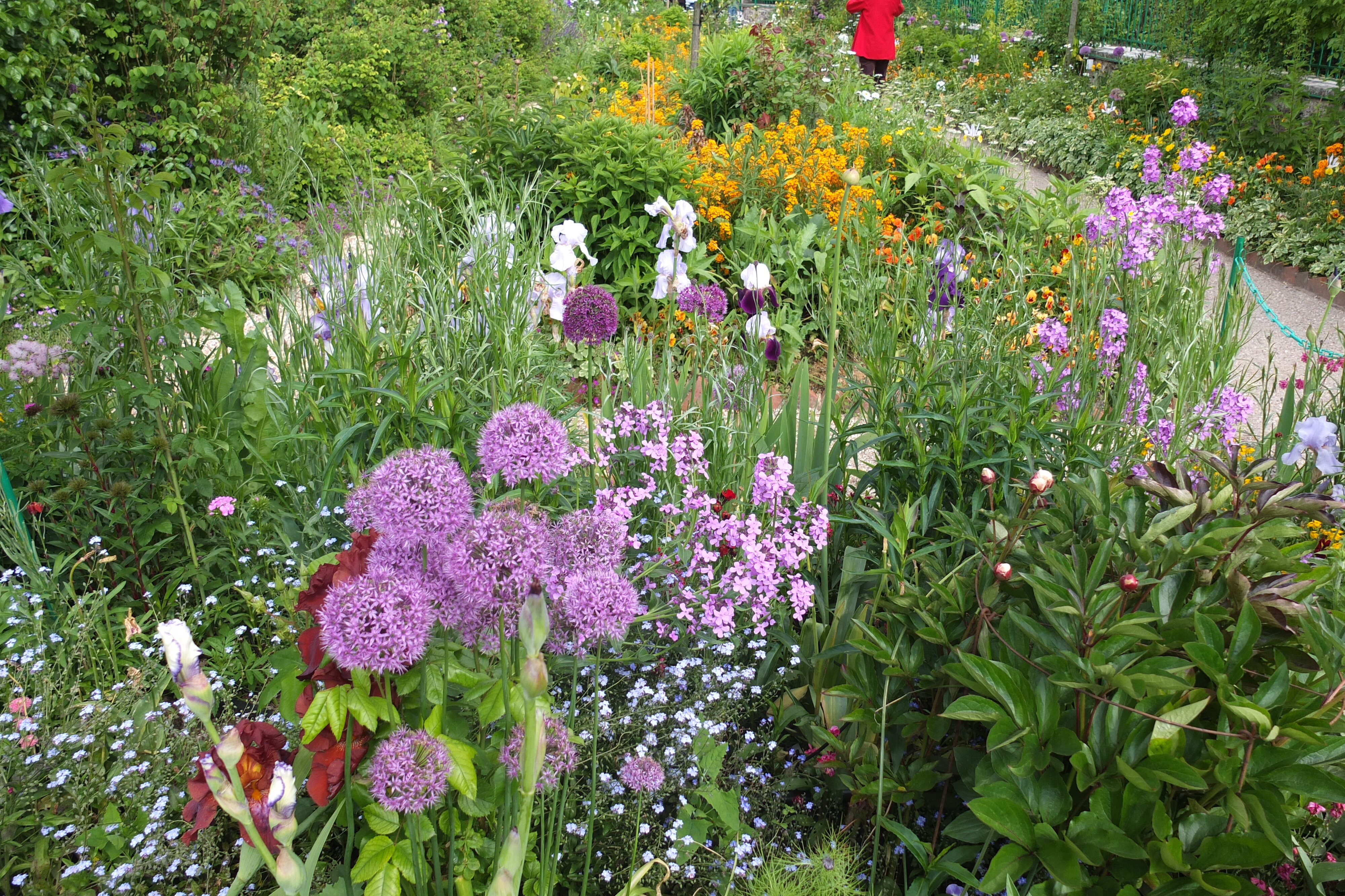 Picture France Giverny 2013-06 62 - Center Giverny