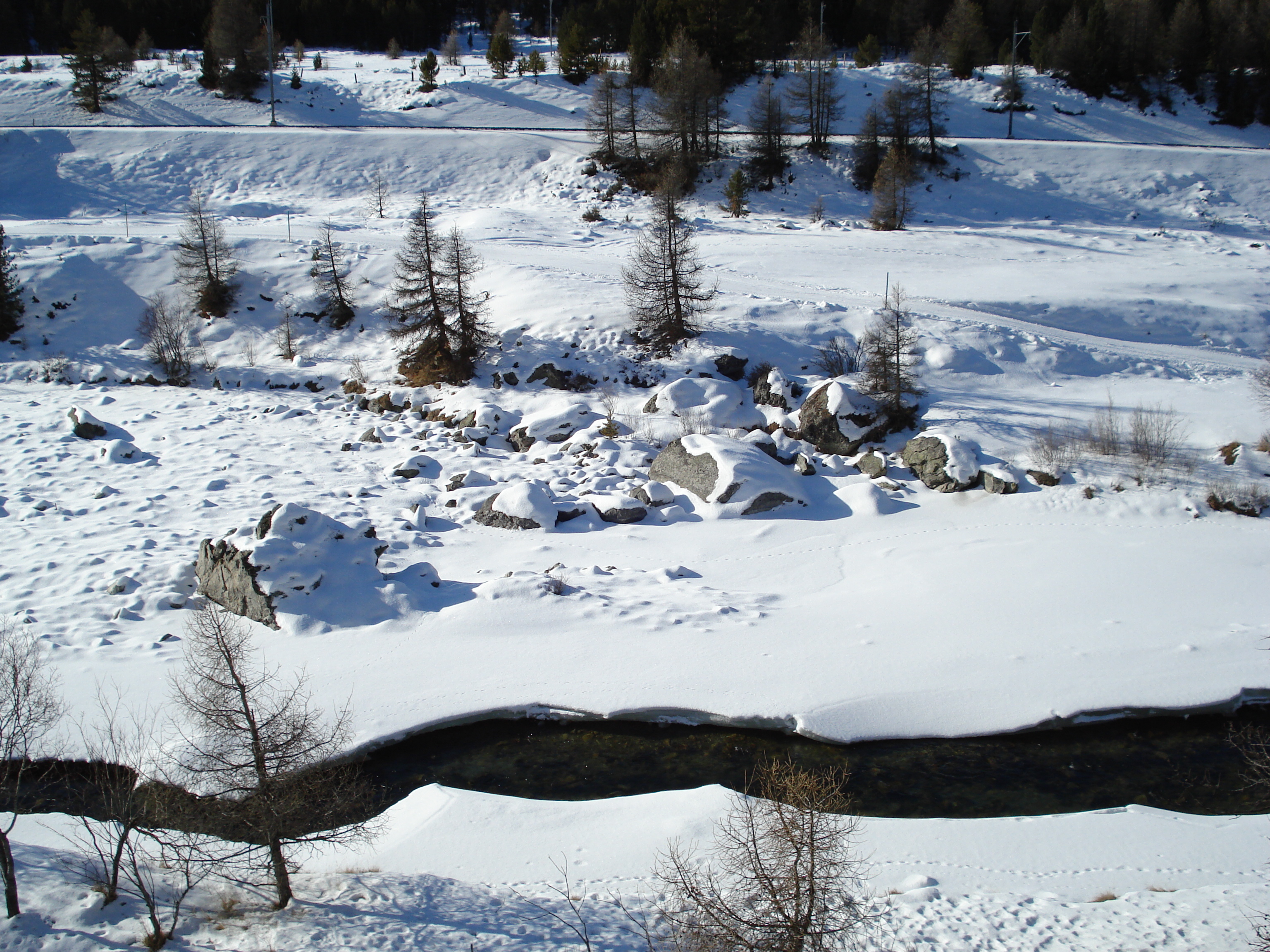 Picture Swiss Pontresina 2007-01 29 - History Pontresina