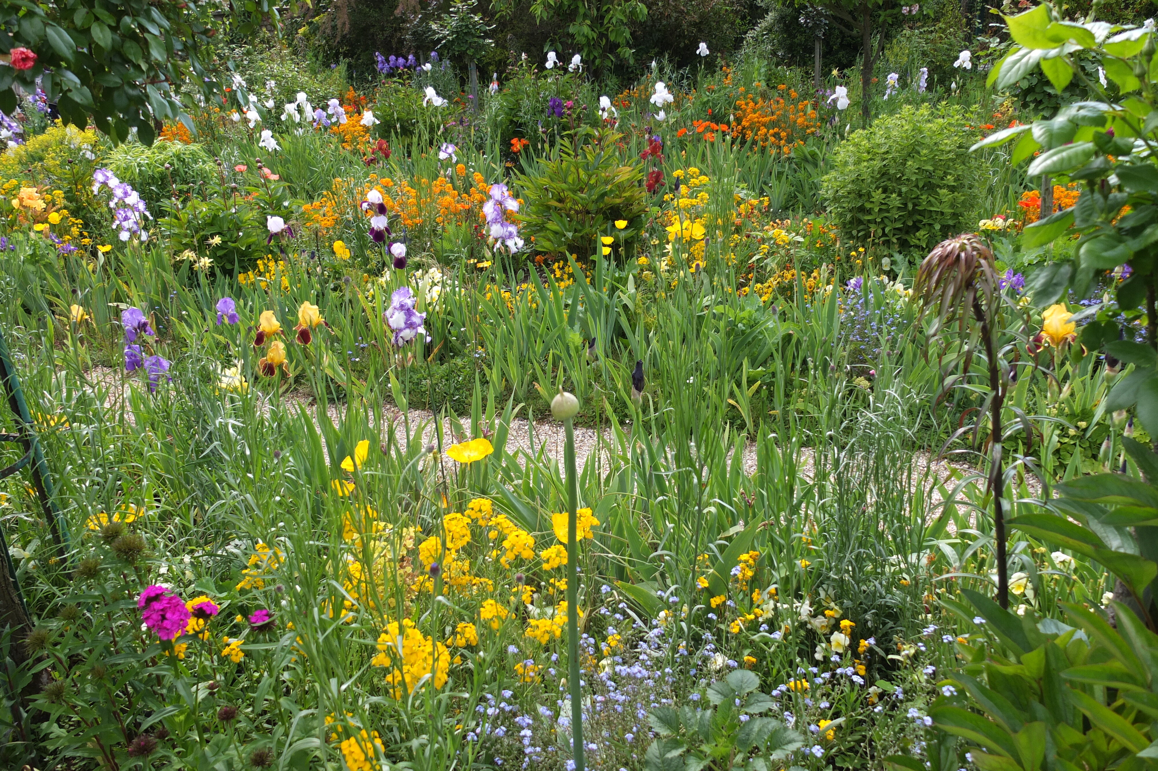 Picture France Giverny 2013-06 49 - Discovery Giverny