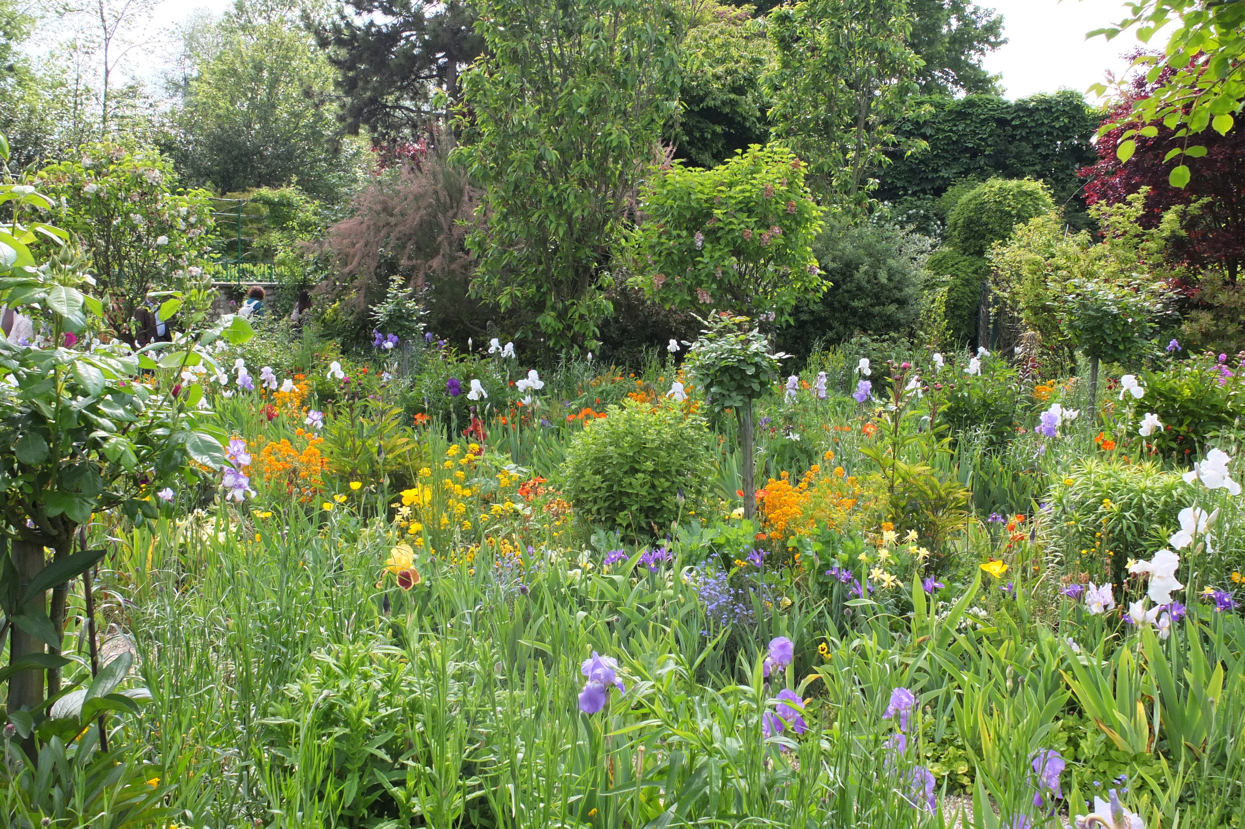 Picture France Giverny 2013-06 31 - History Giverny