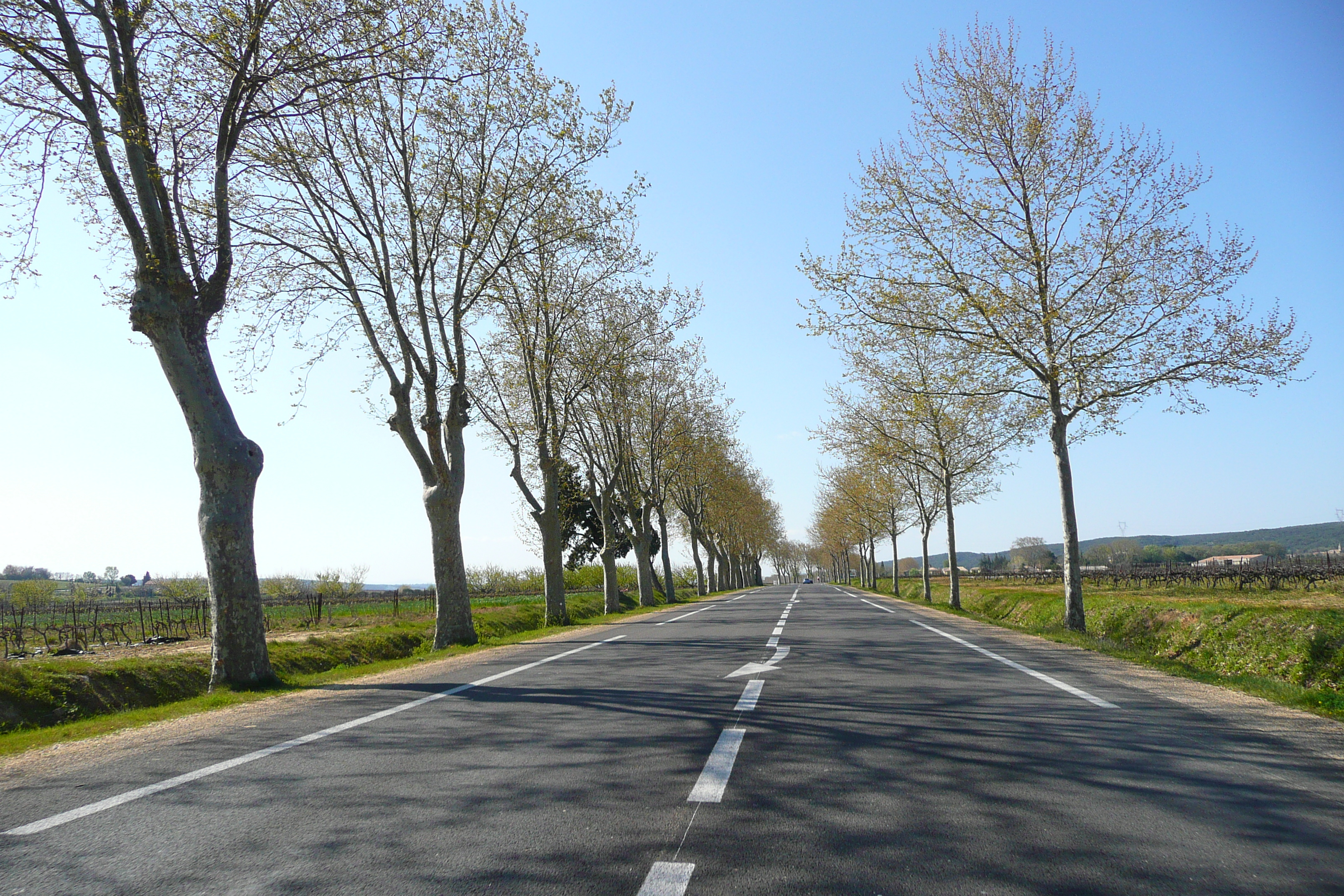 Picture France Provence road to Ales 2008-04 4 - Recreation road to Ales