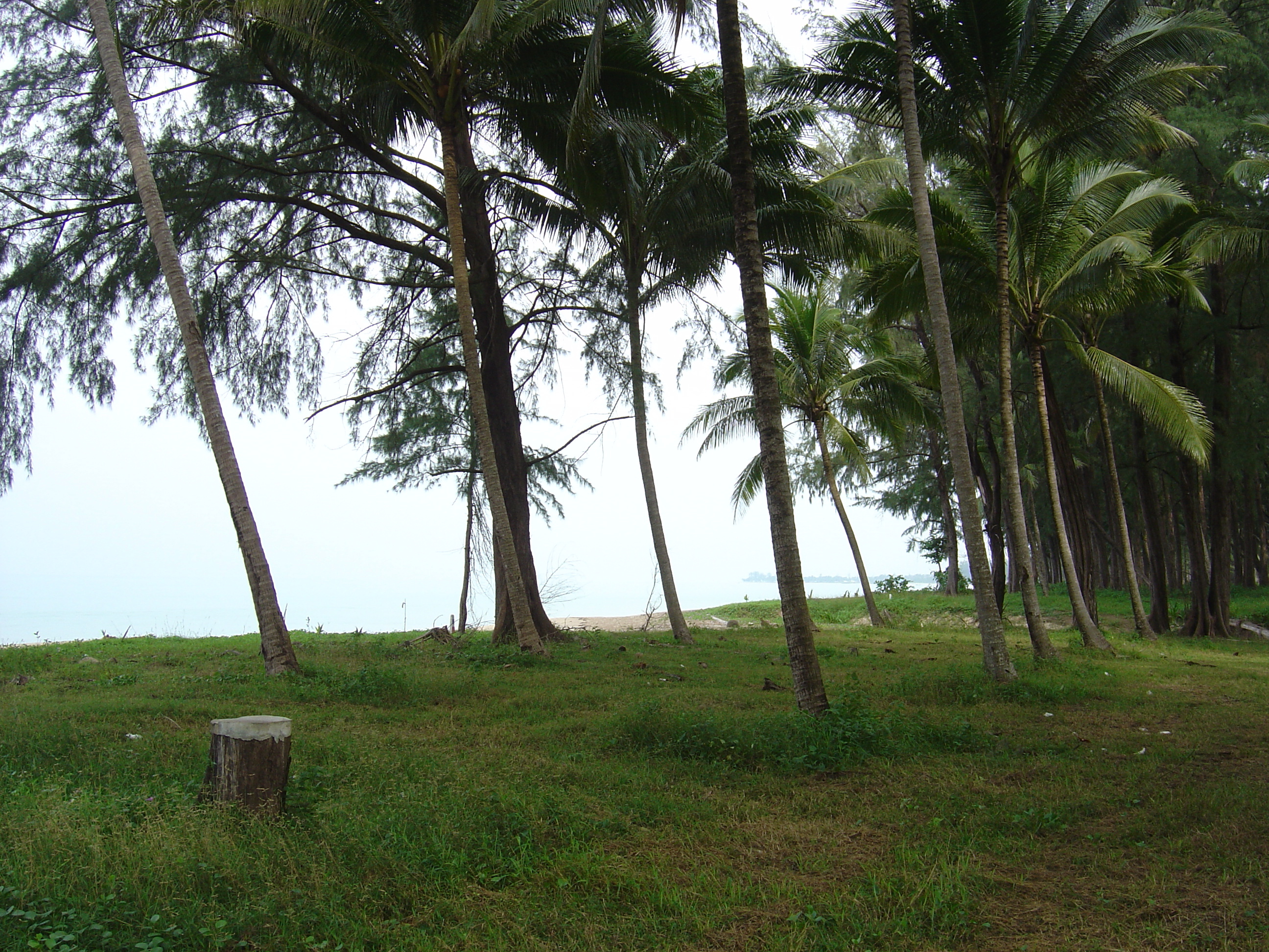 Picture Thailand Khao Lak Bang Sak Beach 2005-12 81 - Tours Bang Sak Beach