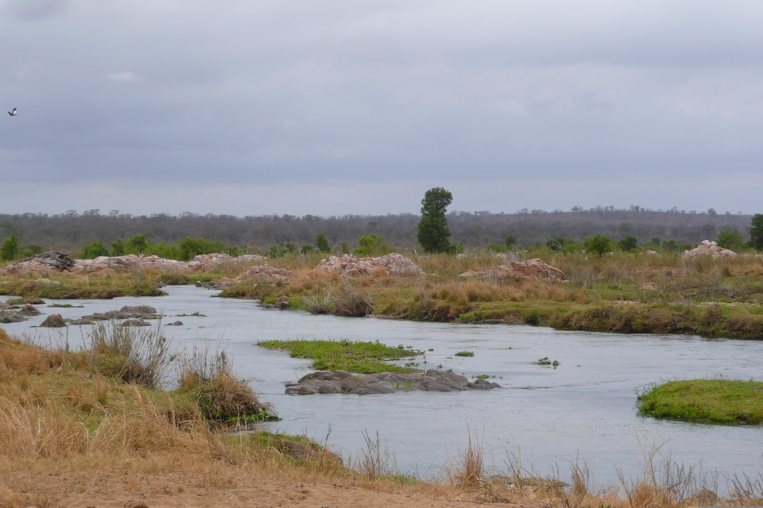 Picture South Africa Kruger National Park Crocodile River 2008-09 37 - Around Crocodile River