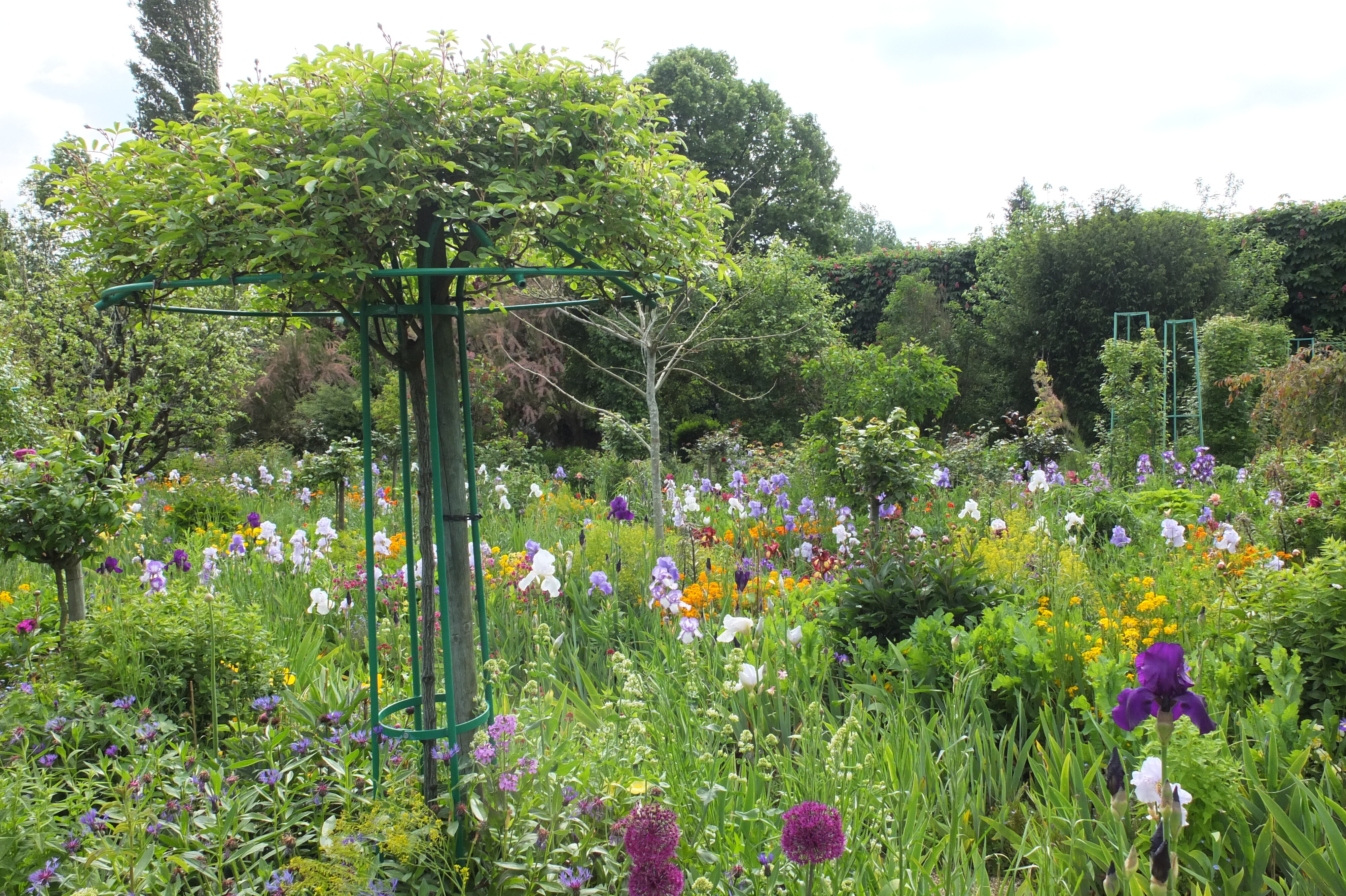 Picture France Giverny 2013-06 45 - Center Giverny