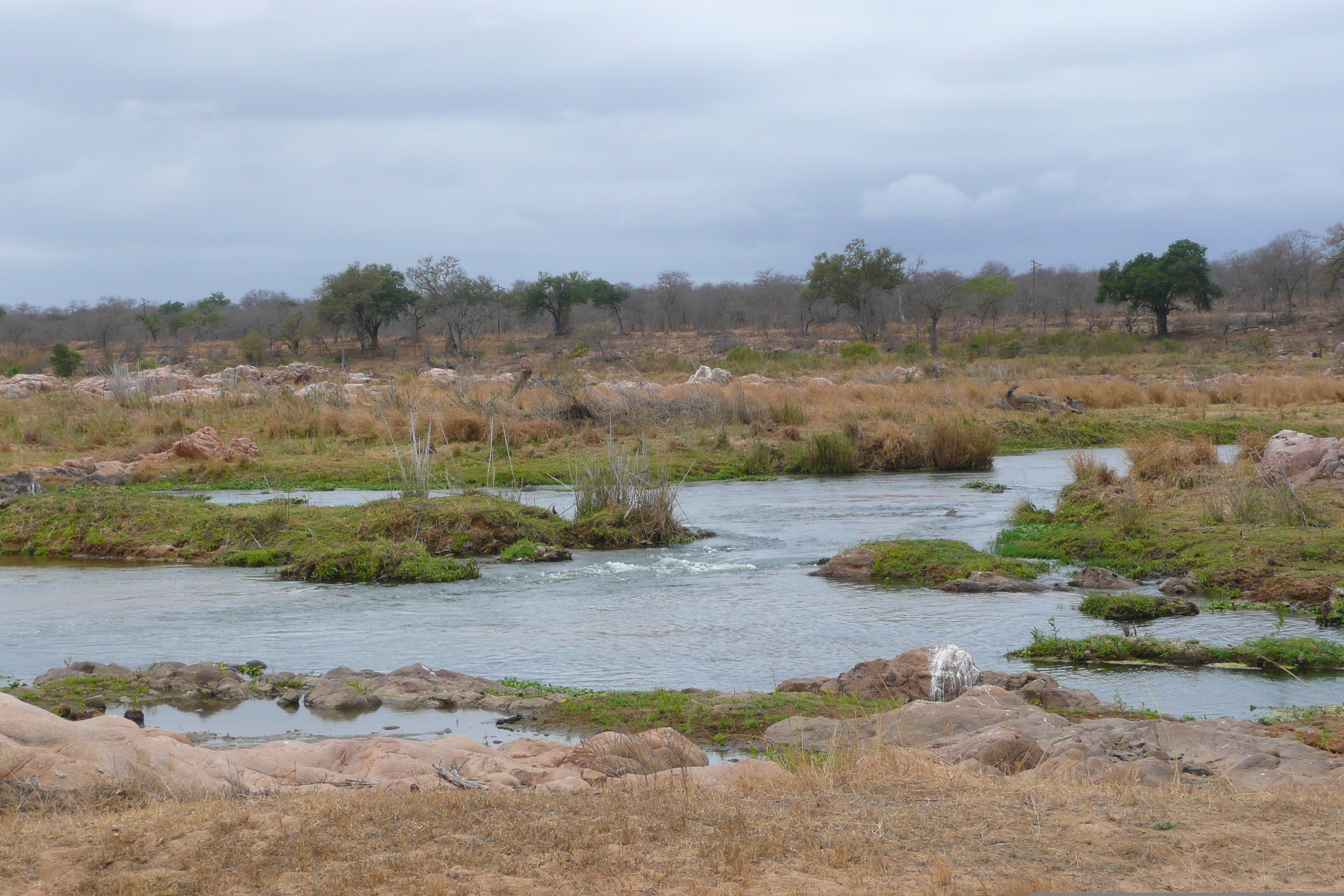 Picture South Africa Kruger National Park Crocodile River 2008-09 30 - Around Crocodile River