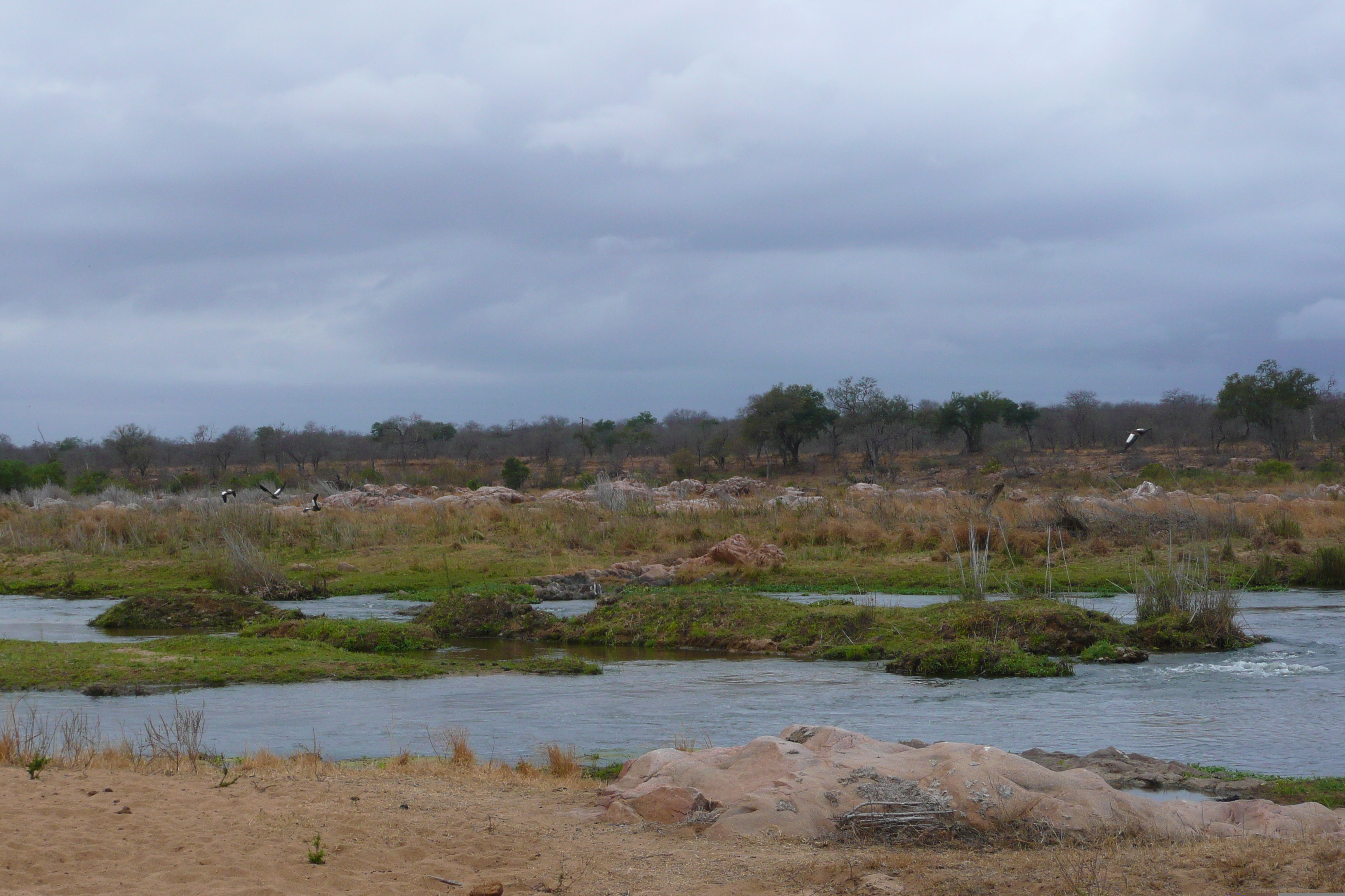 Picture South Africa Kruger National Park Crocodile River 2008-09 27 - History Crocodile River