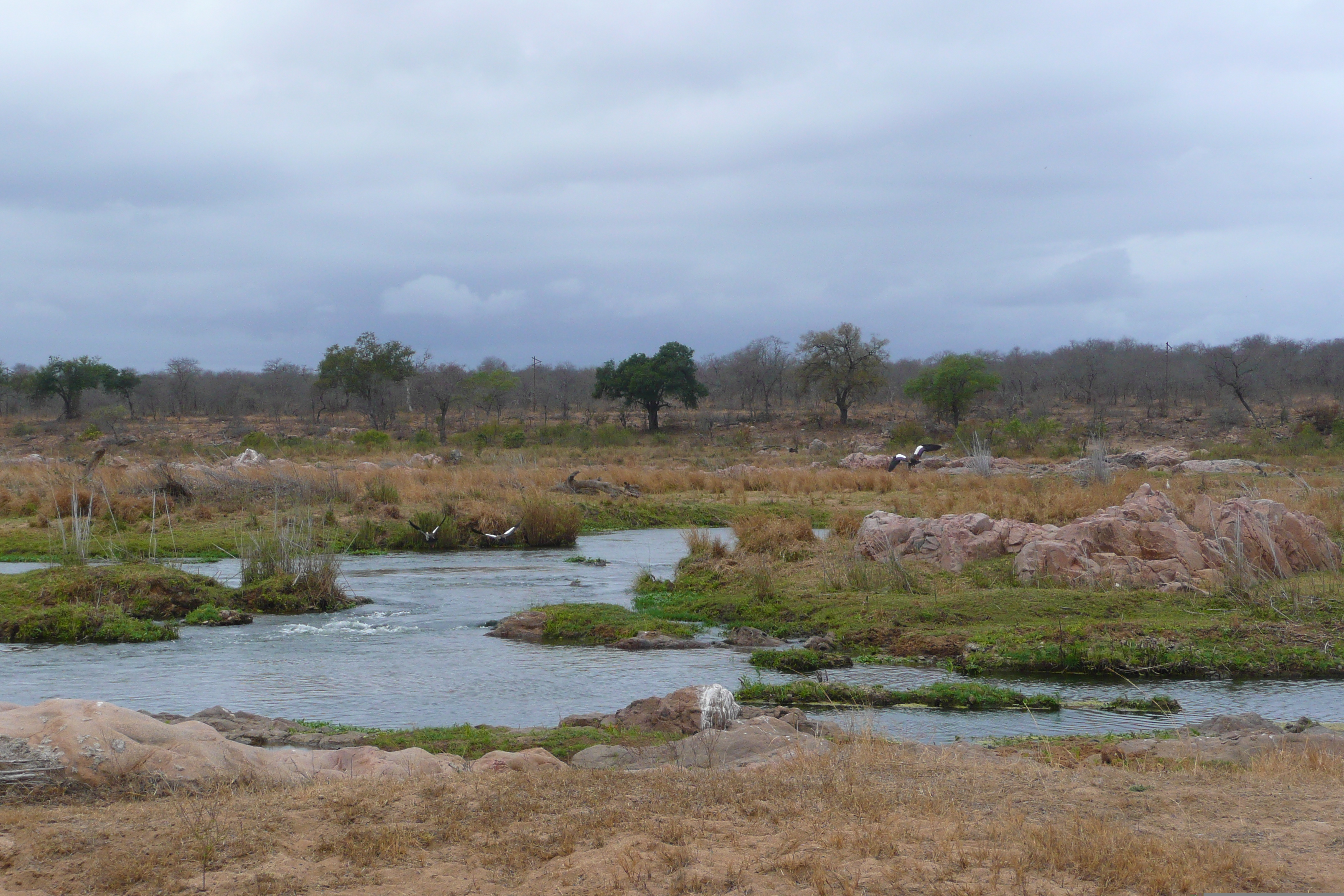 Picture South Africa Kruger National Park Crocodile River 2008-09 32 - Around Crocodile River