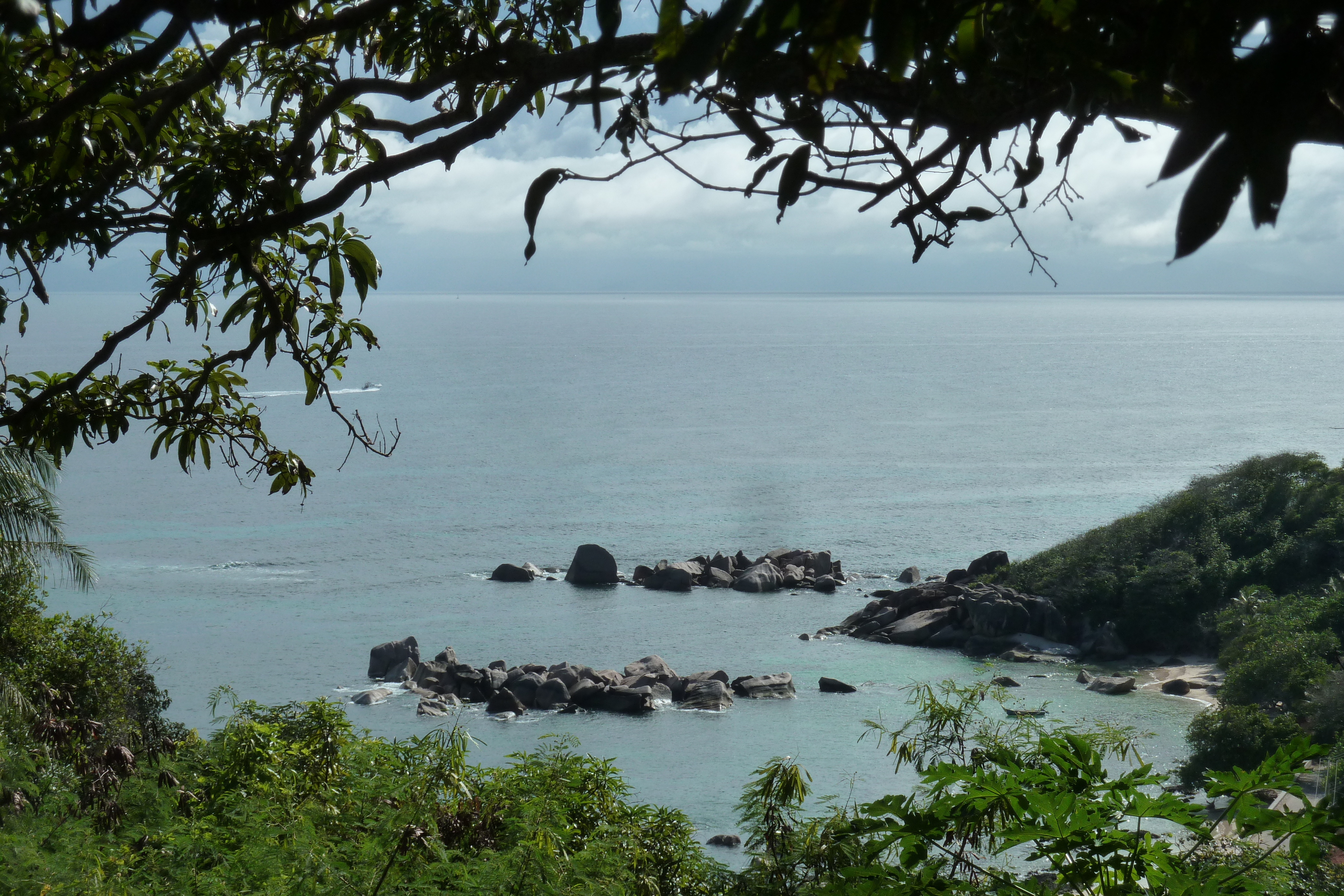 Picture Seychelles Praslin 2011-10 116 - Center Praslin