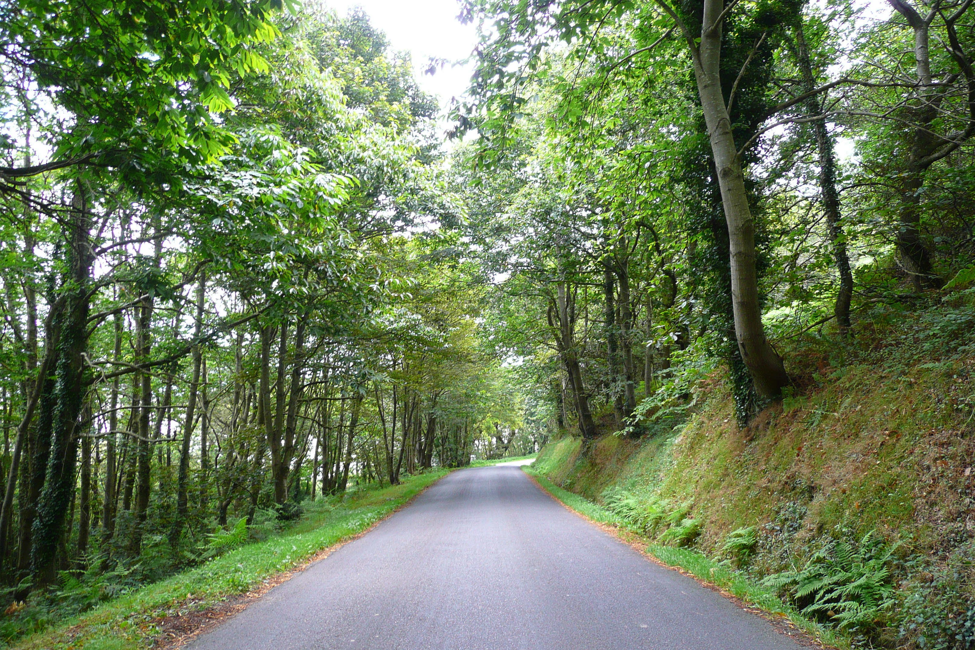 Picture France Brittany roads 2007-08 62 - Tour Brittany roads