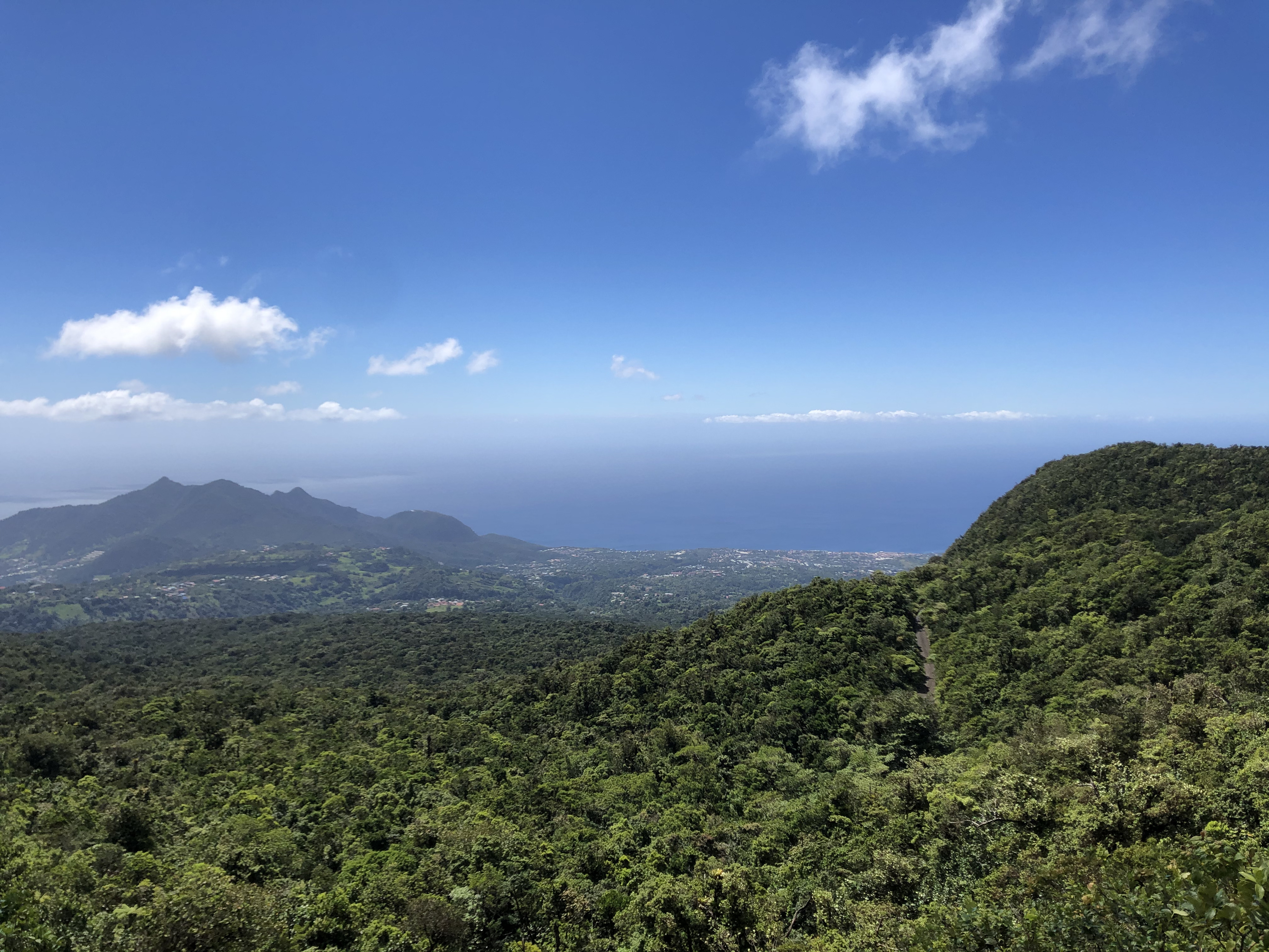 Picture Guadeloupe La Grande Soufriere 2021-02 40 - Center La Grande Soufriere