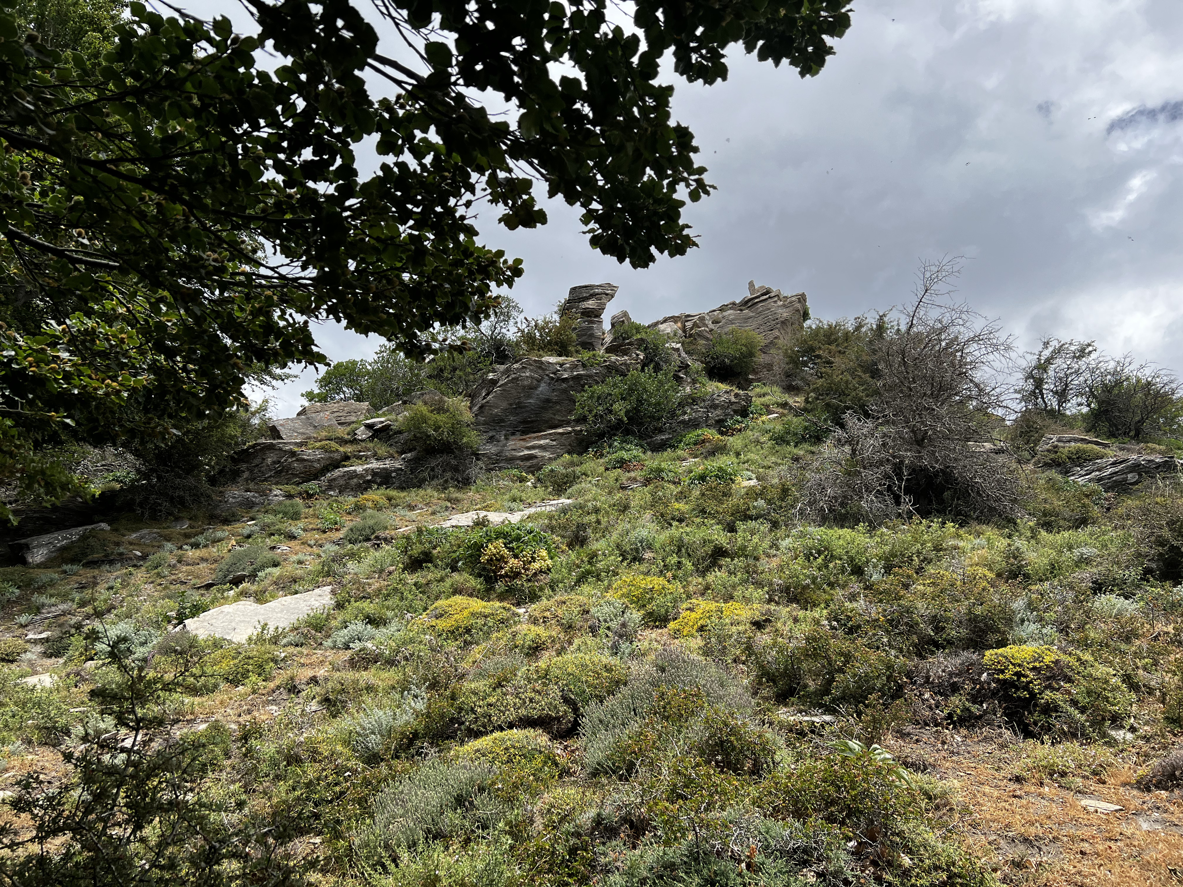 Picture France Corsica Refuge de Callerucciu 2022-06 13 - Around Refuge de Callerucciu