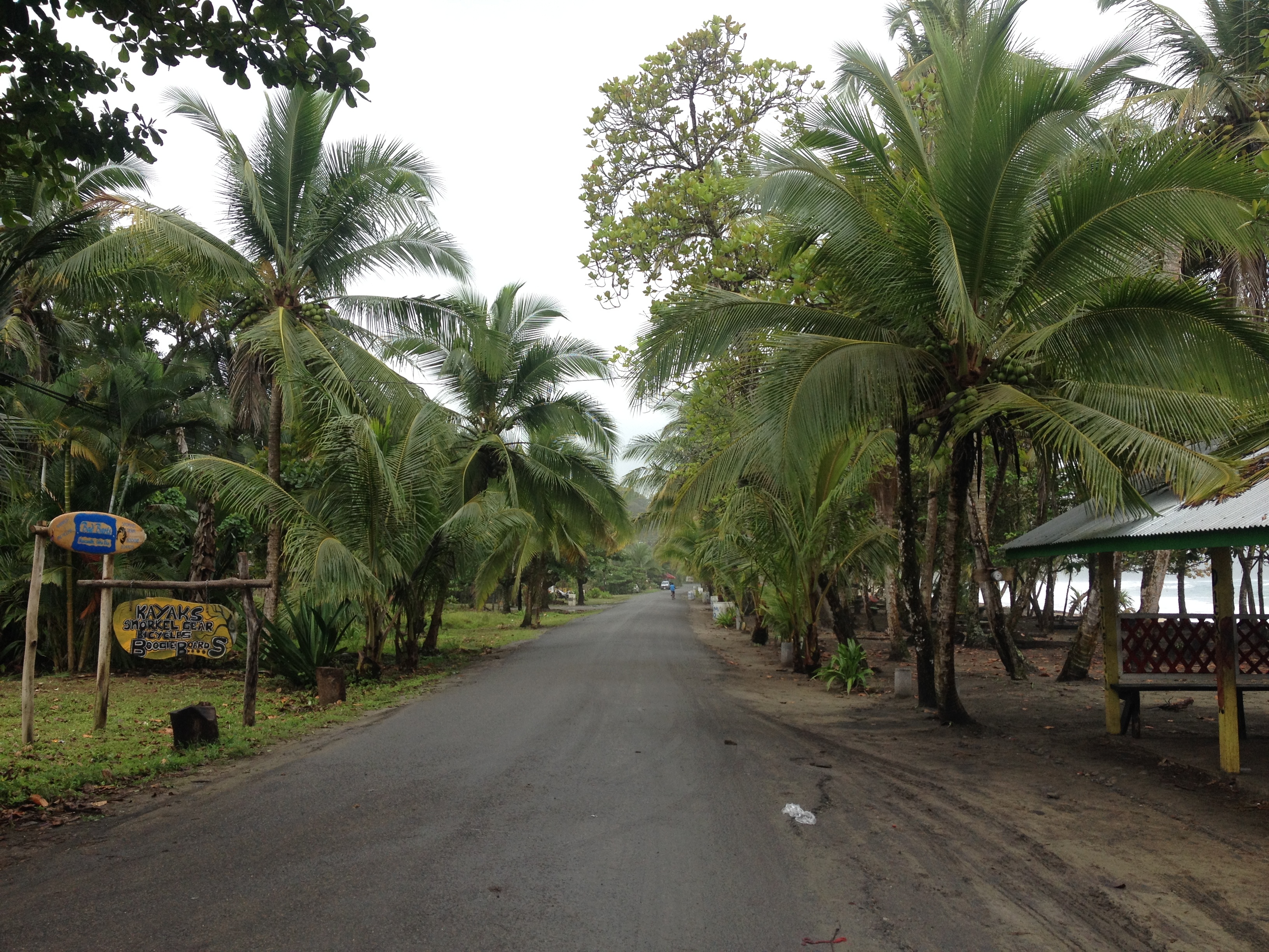 Picture Costa Rica Puerto Viejo de Talamanca 2015-03 87 - Discovery Puerto Viejo de Talamanca