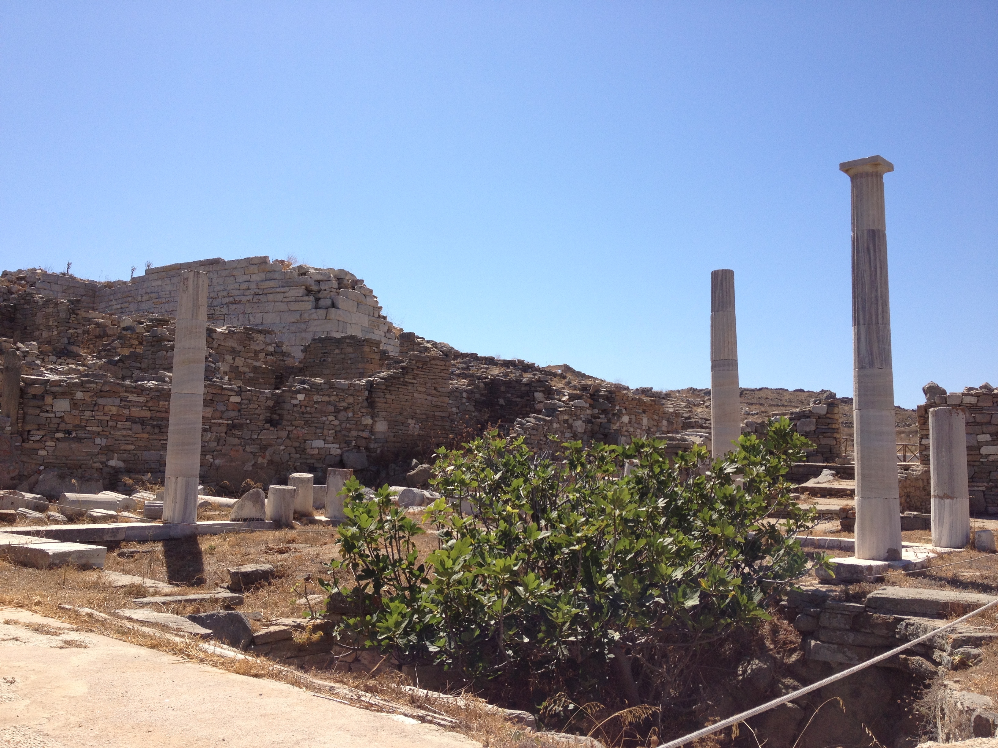 Picture Greece Delos 2014-07 18 - History Delos