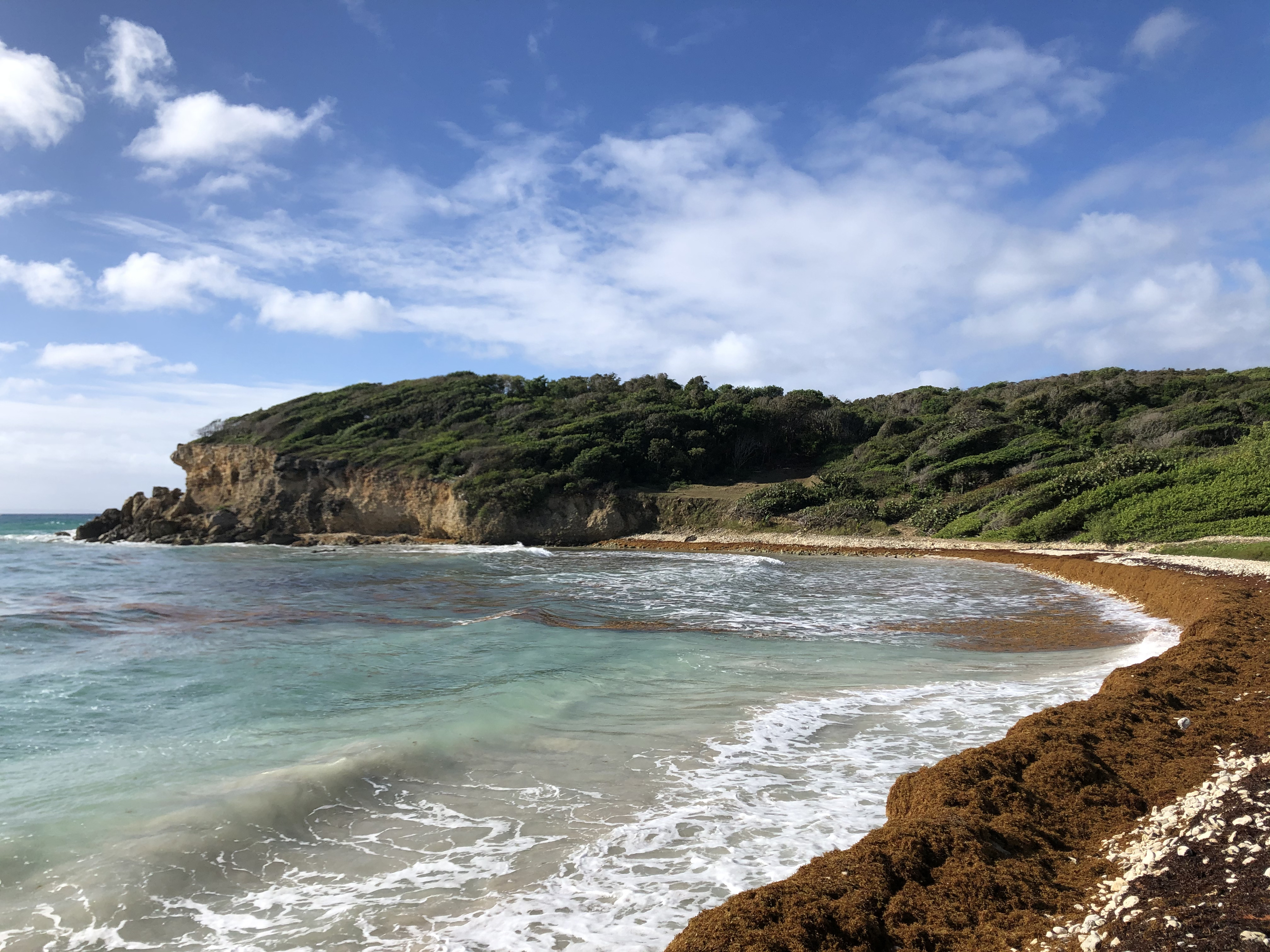 Picture Guadeloupe Sainte Anne 2021-02 12 - Discovery Sainte Anne