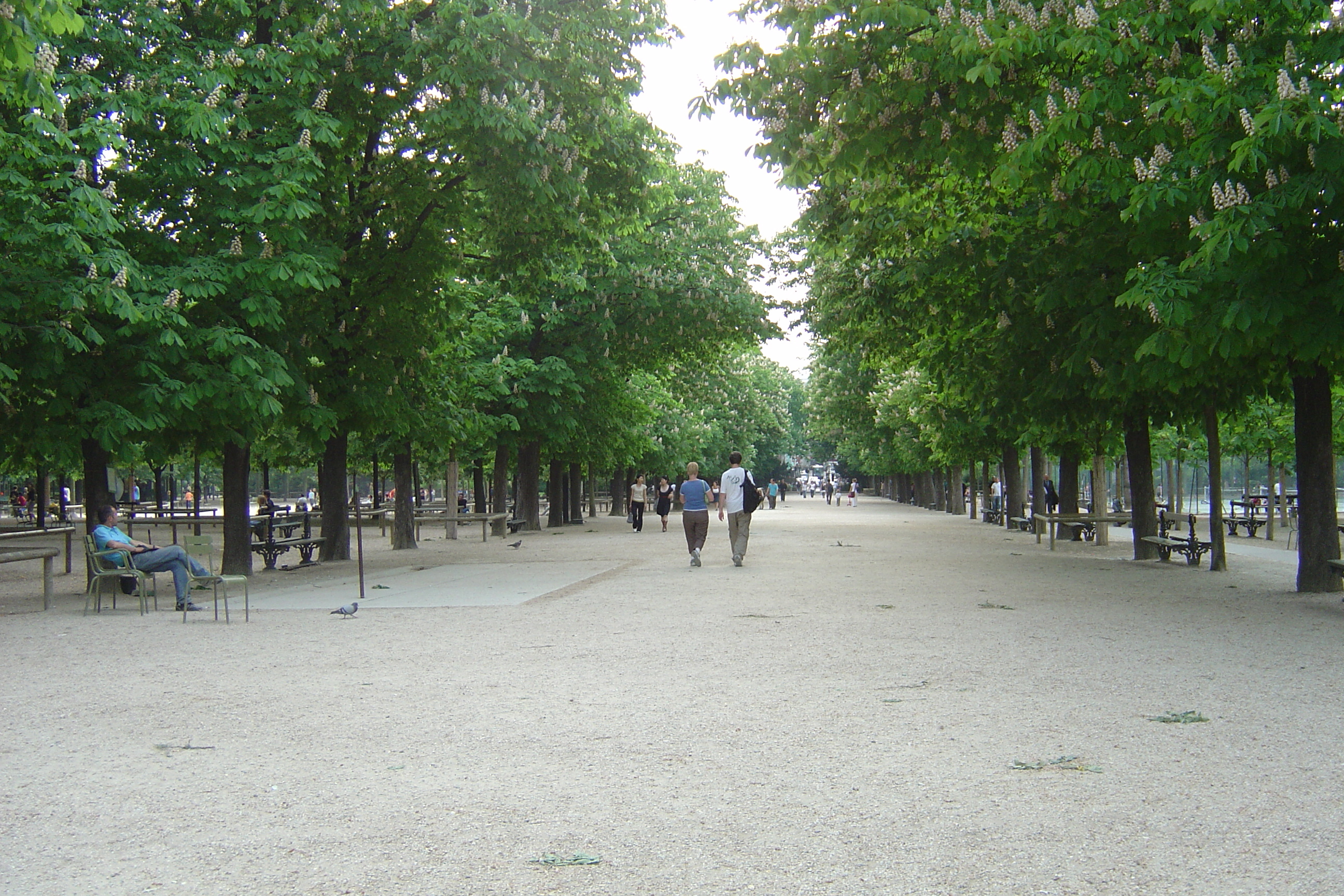 Picture France Paris Luxembourg Garden 2007-04 87 - Recreation Luxembourg Garden