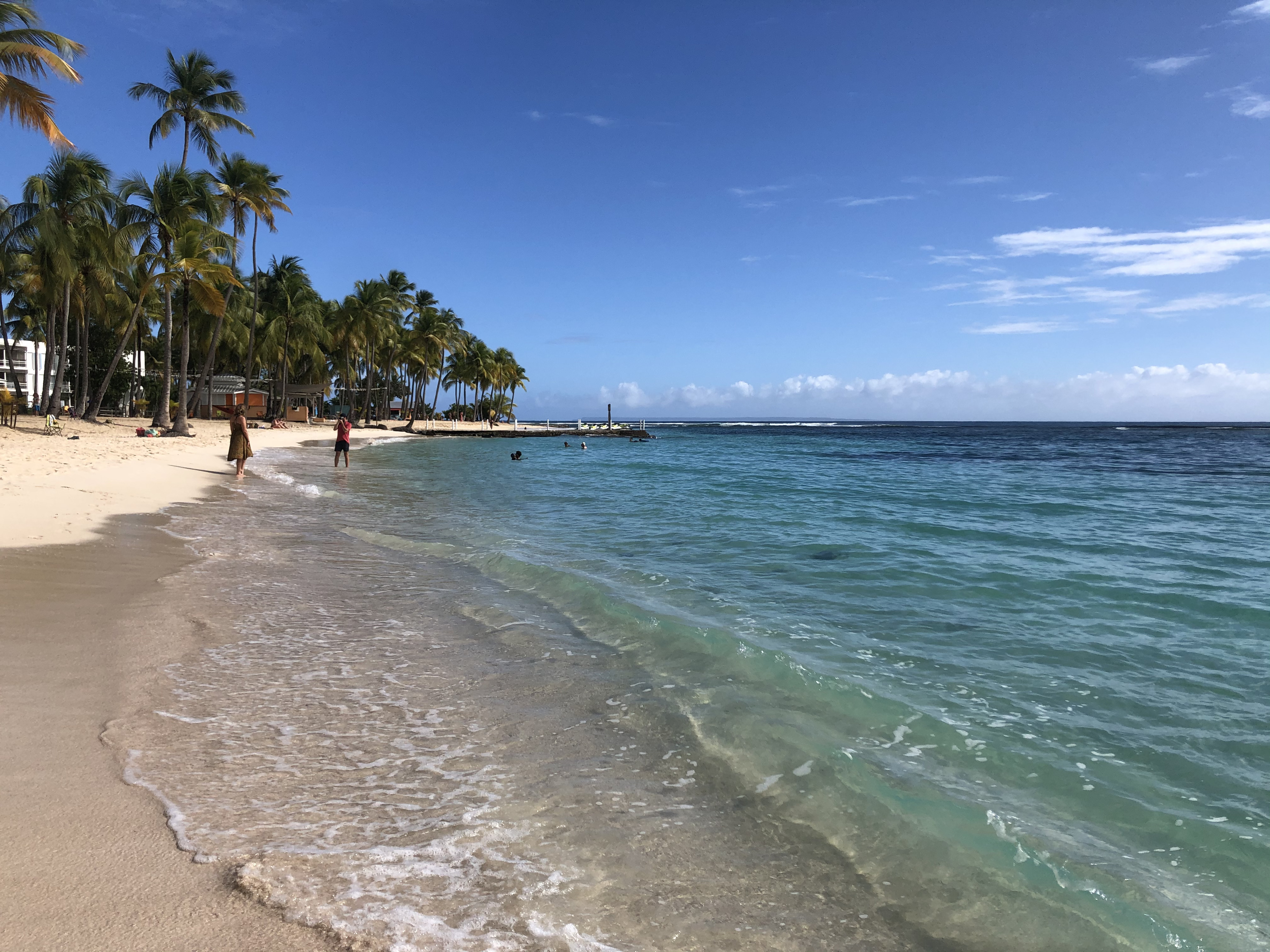 Picture Guadeloupe La Caravelle Beach 2021-02 74 - Tours La Caravelle Beach