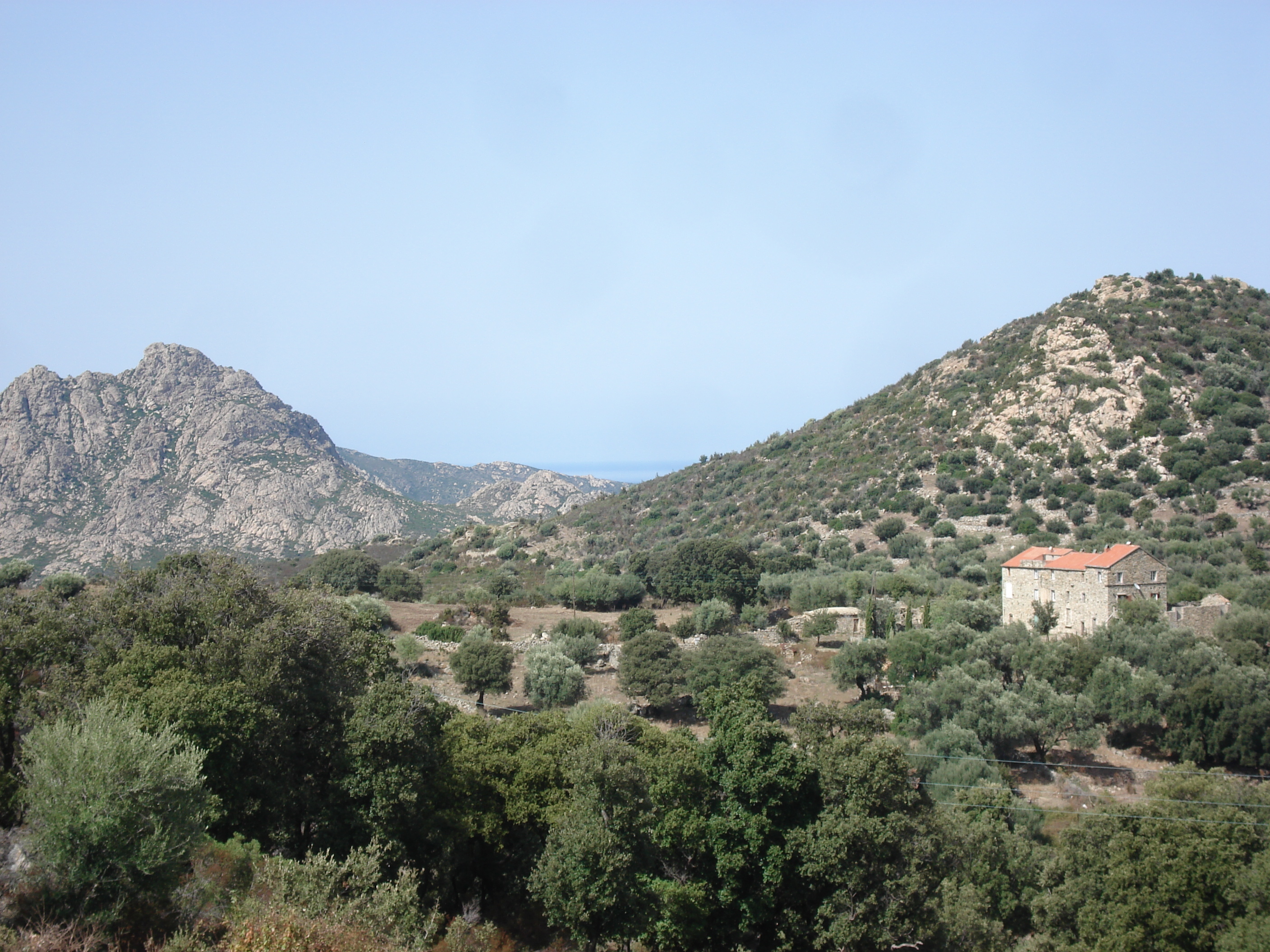 Picture France Corsica Agriates Desert 2006-09 37 - Center Agriates Desert