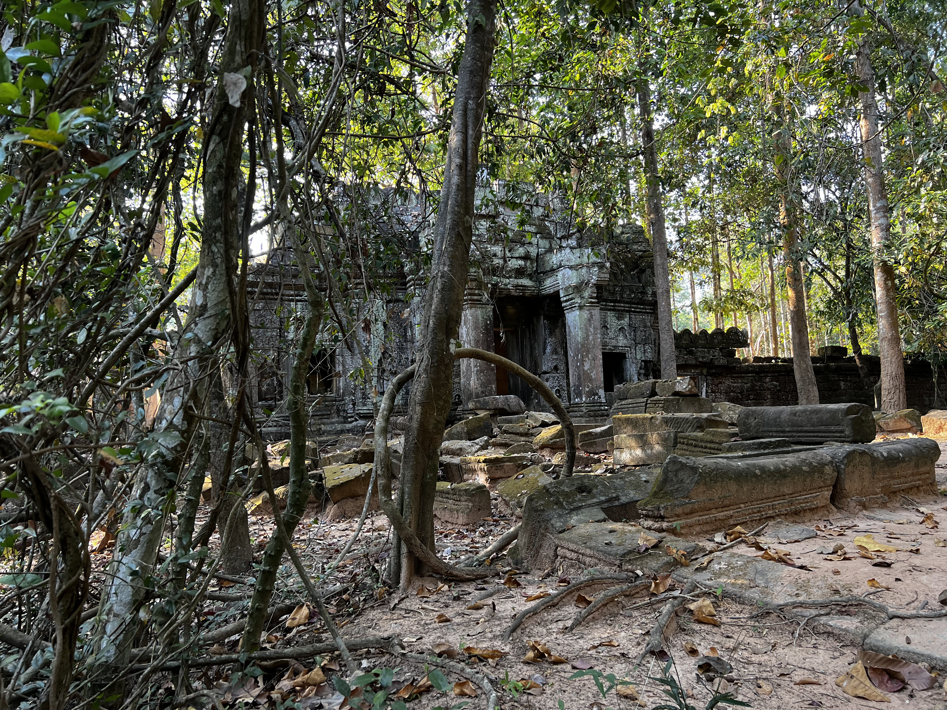 Picture Cambodia Siem Reap Ta Som 2023-01 22 - Around Ta Som