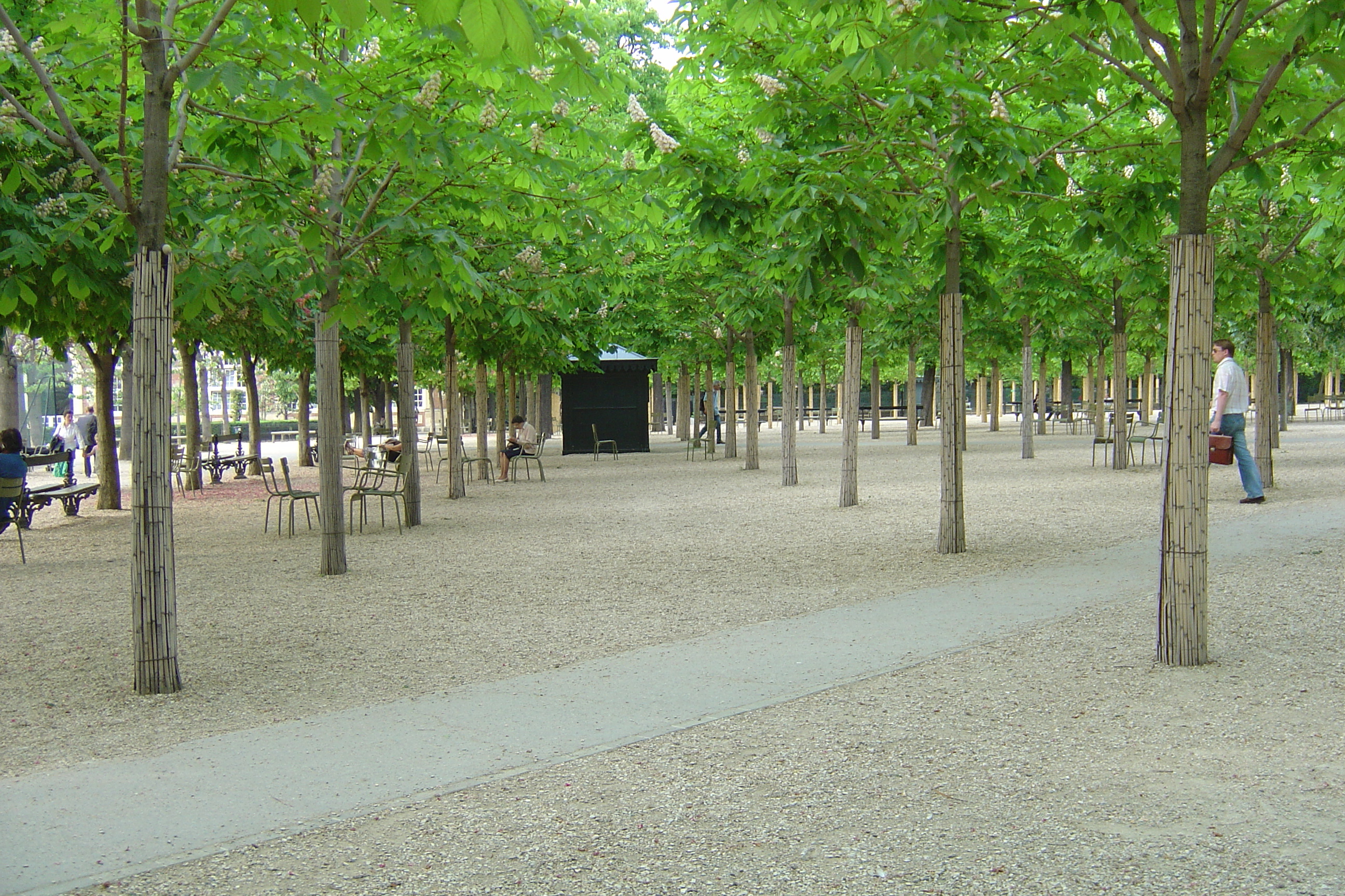 Picture France Paris Luxembourg Garden 2007-04 95 - Center Luxembourg Garden