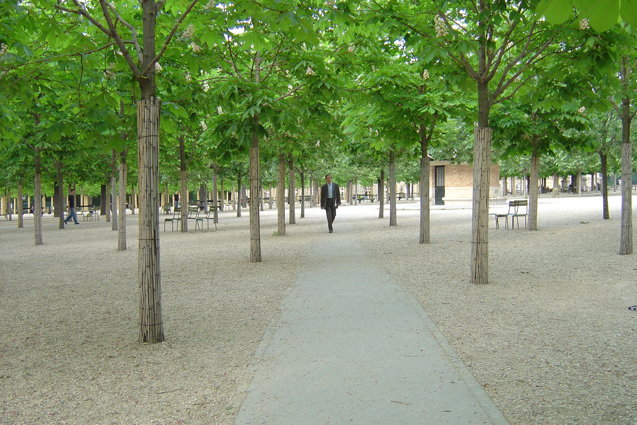 Picture France Paris Luxembourg Garden 2007-04 101 - Discovery Luxembourg Garden