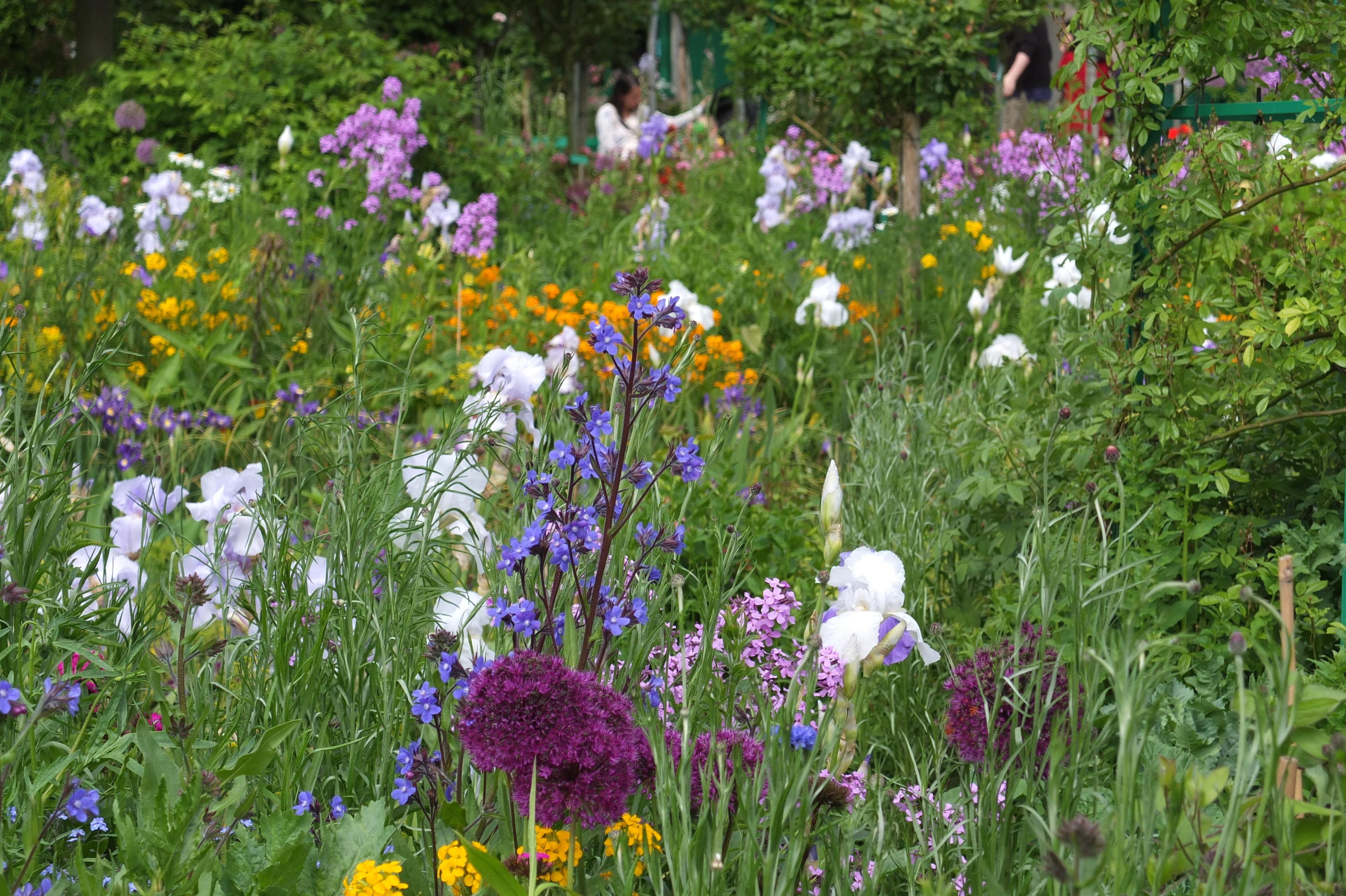 Picture France Giverny 2013-06 127 - History Giverny