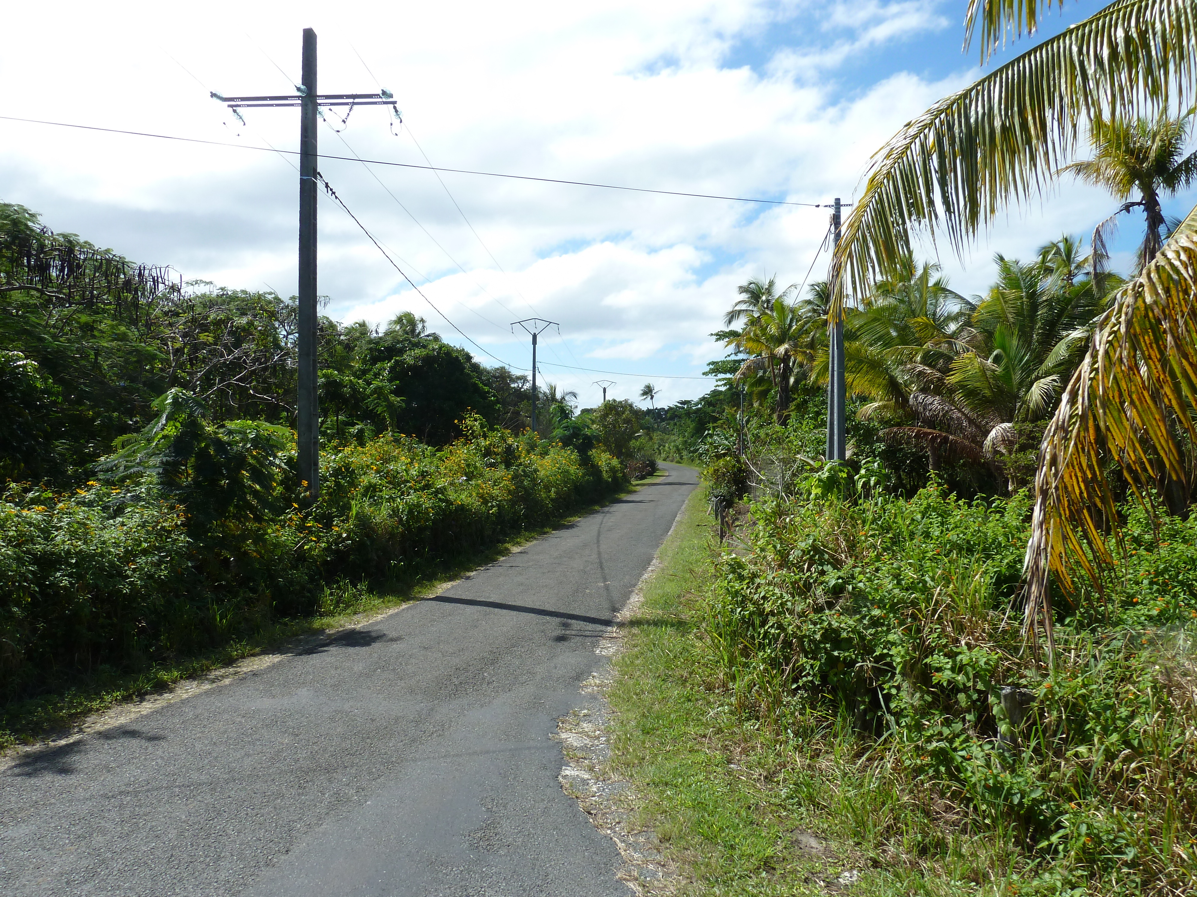 Picture New Caledonia Lifou 2010-05 11 - Tours Lifou