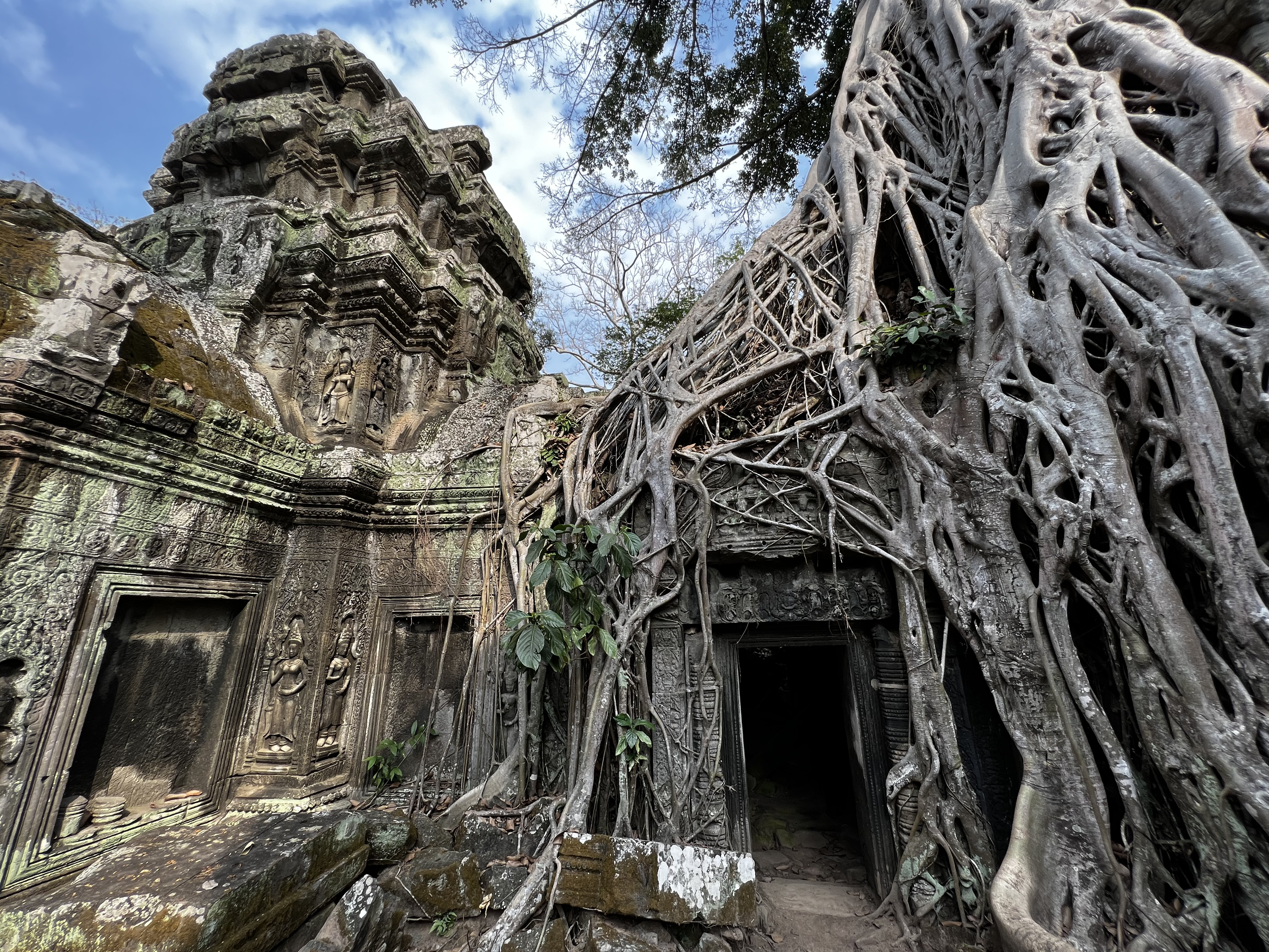 Picture Cambodia Siem Reap Ta Prohm 2023-01 57 - Tour Ta Prohm