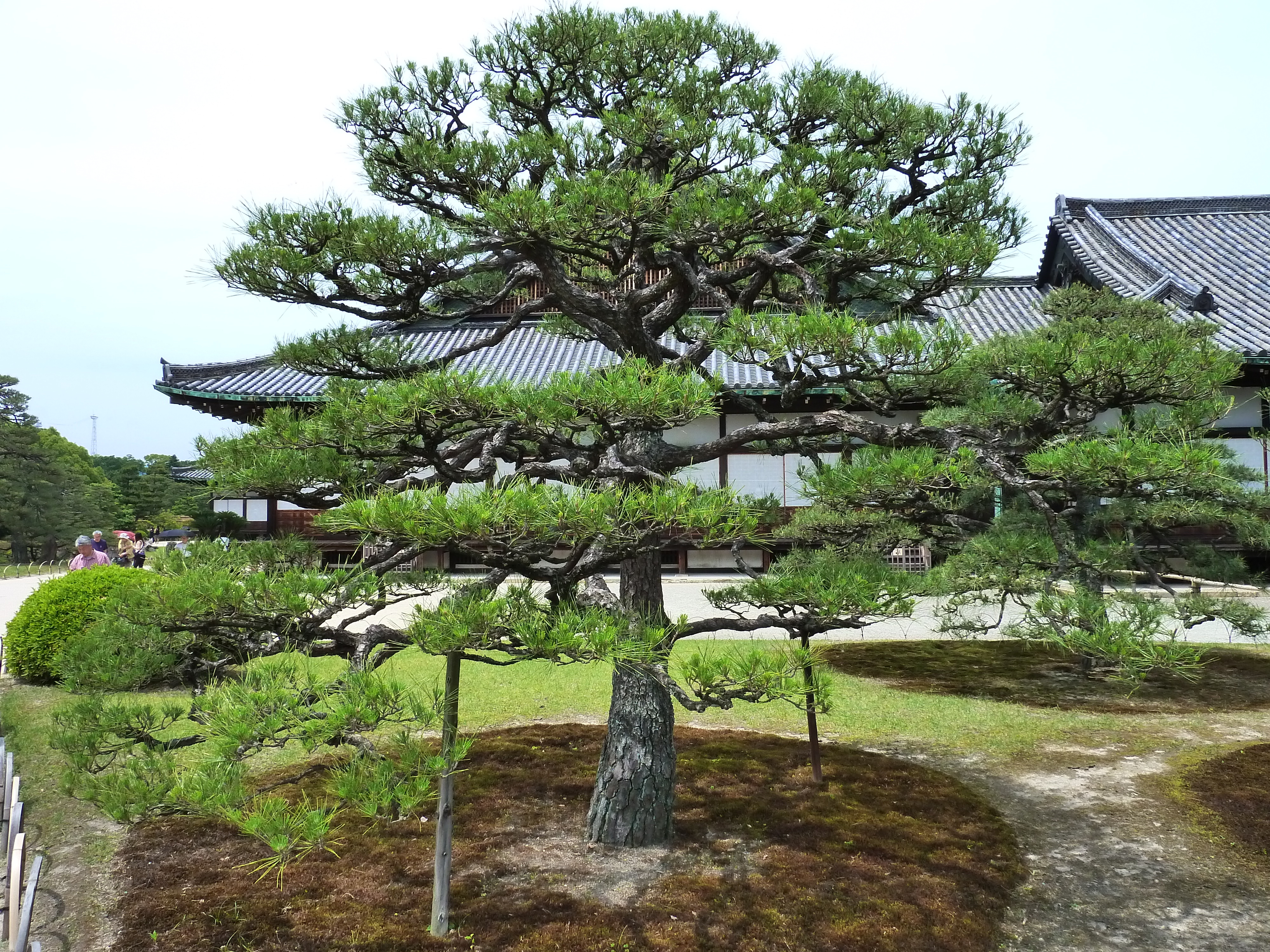 Picture Japan Kyoto Nijo Castle 2010-06 89 - Around Nijo Castle